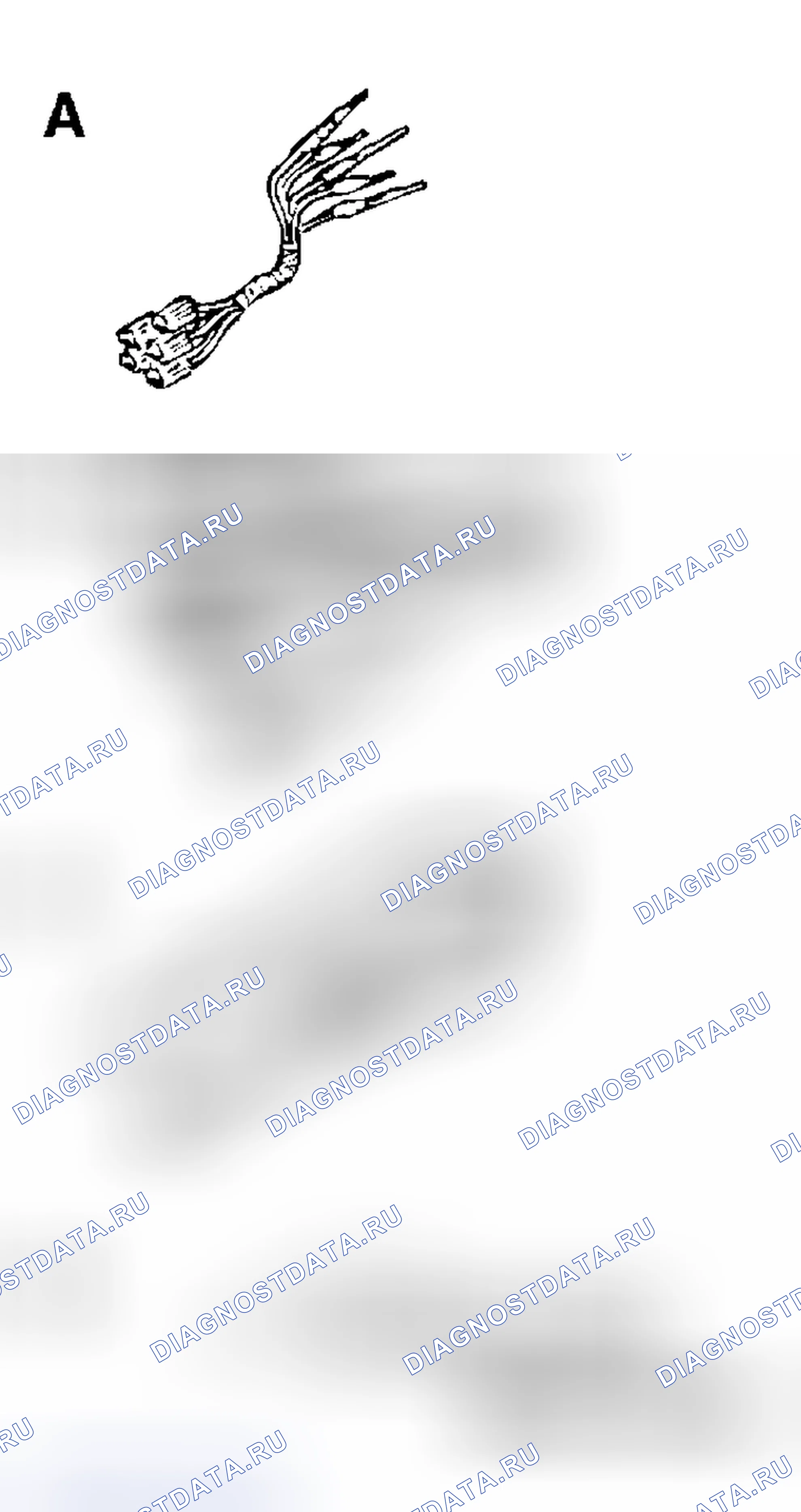 Рис. 219: СПЕЦИАЛЬНЫЕ ИНСТРУМЕНТЫ. Honda e:NS1 I