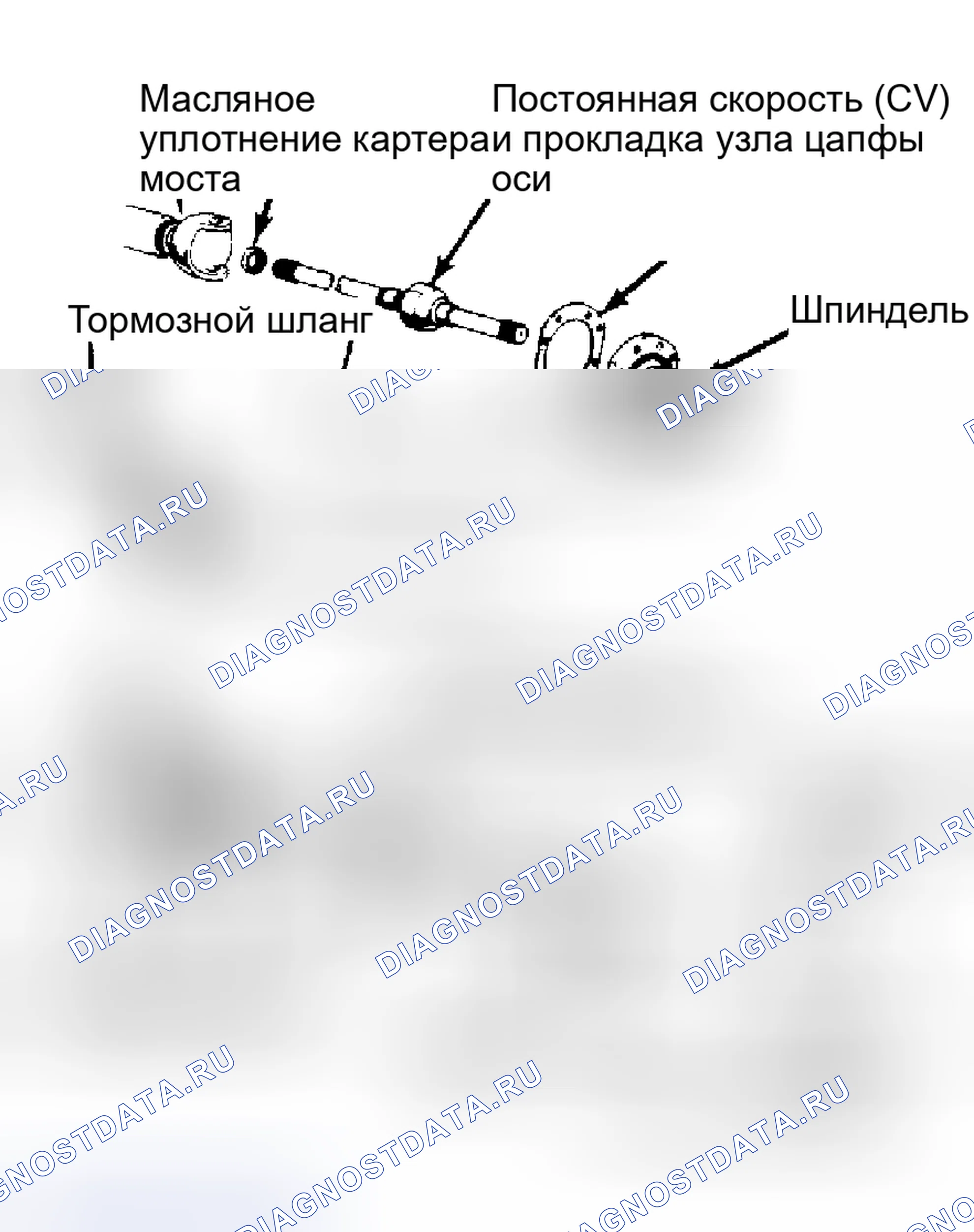 Рис. 8: Разнесенный вид вала передней оси в сборе (Land Cruiser и 4WD Pickup). Toyota Starlet P60