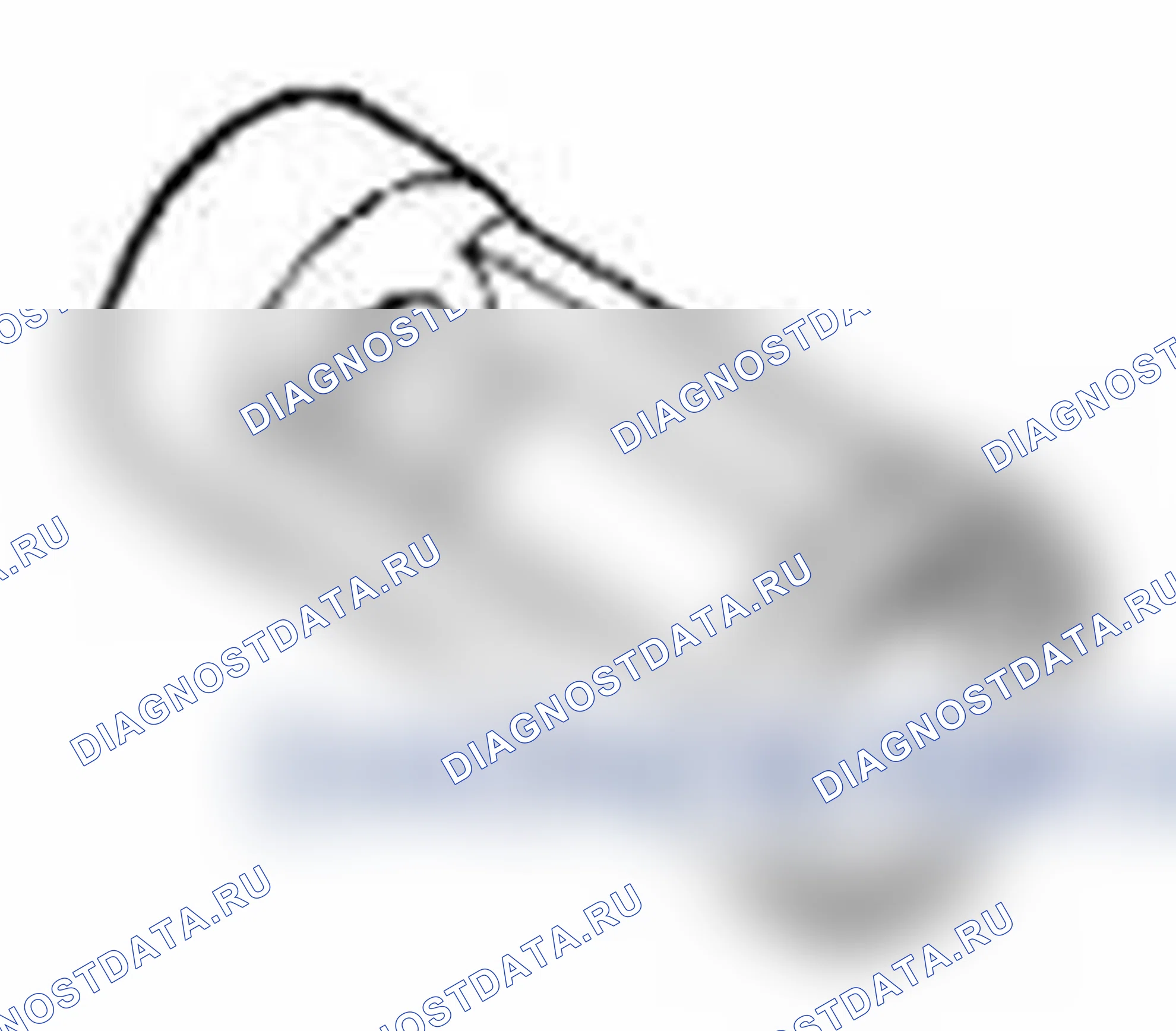 Рис. 424. Suzuki Grand Vitara II рестайлинг