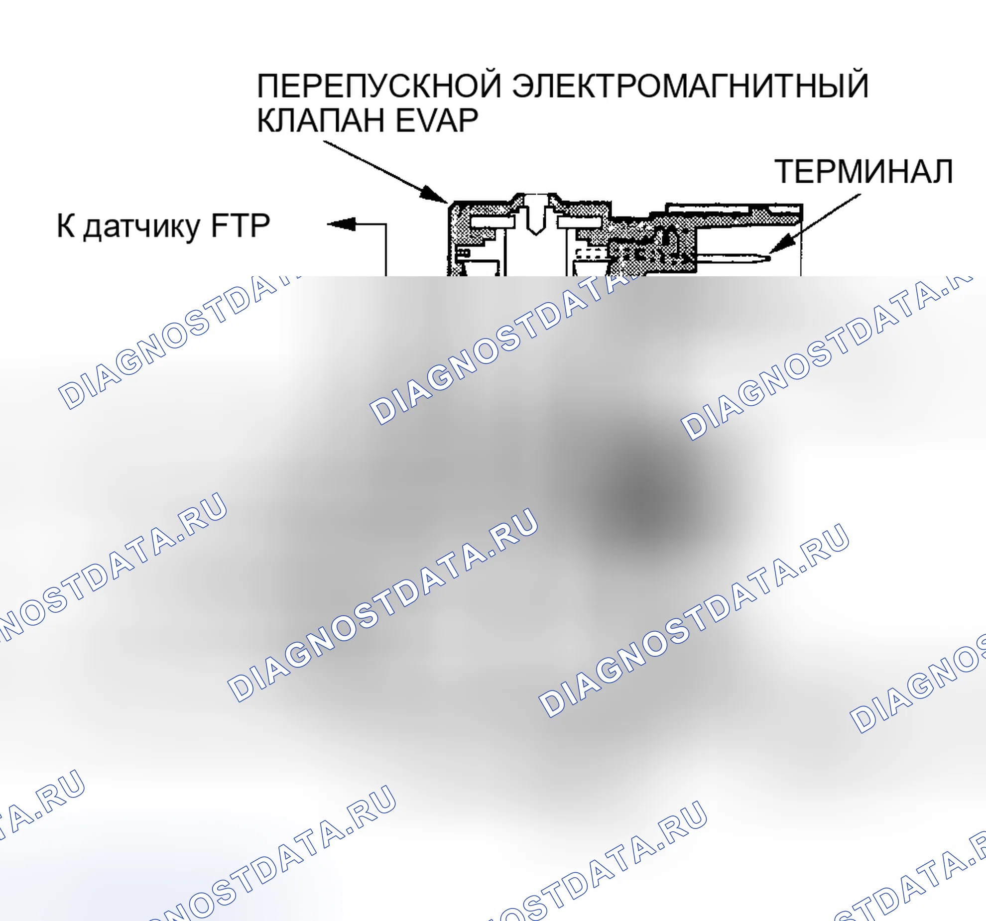 Рис. 82: Двухходовой клапан EVAP и перепускной электромагнитный клапан EVAP (модели 2002-2004 гг.). Acura RSX I