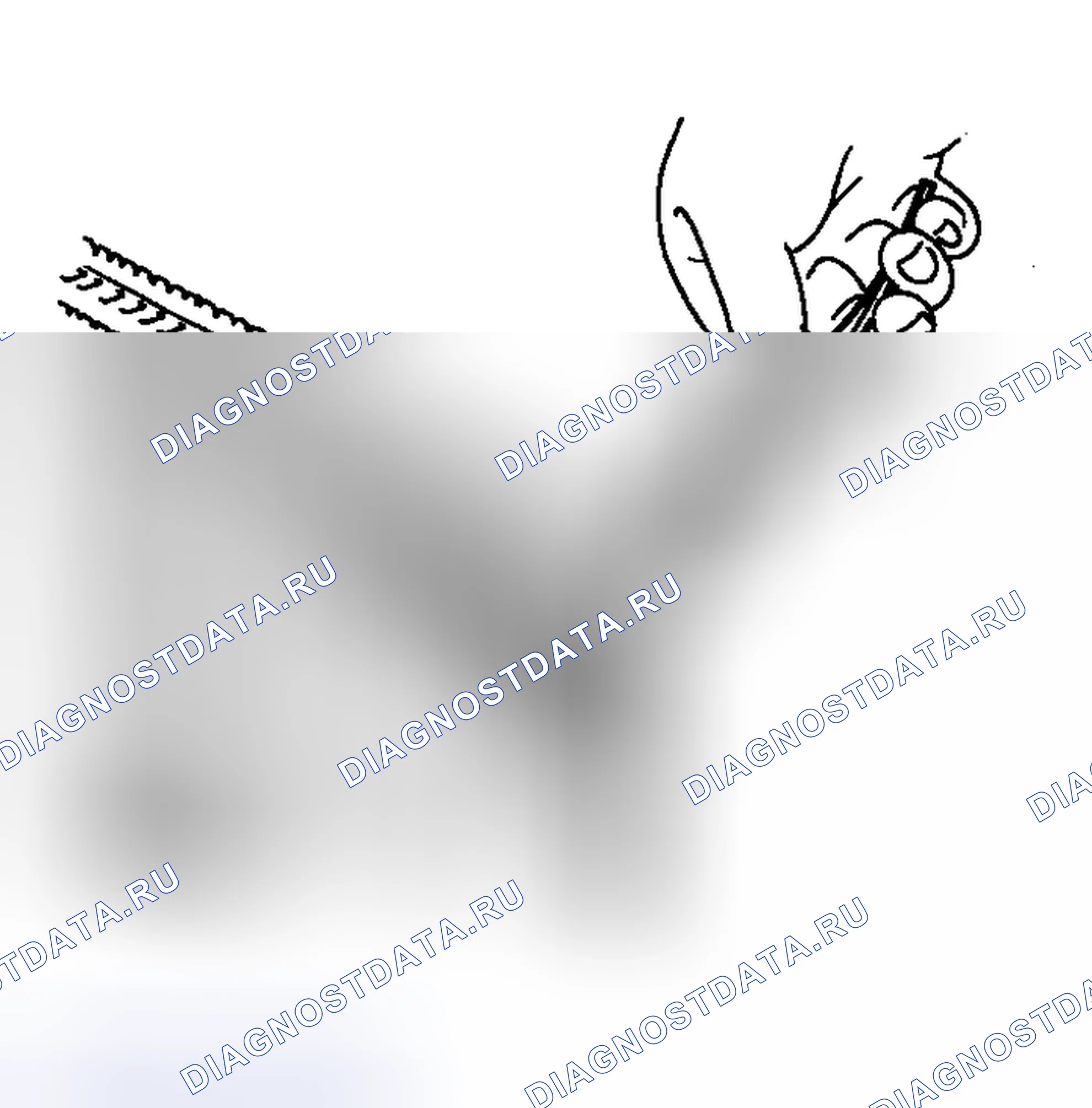 Рис. 46. Nissan 350Z I