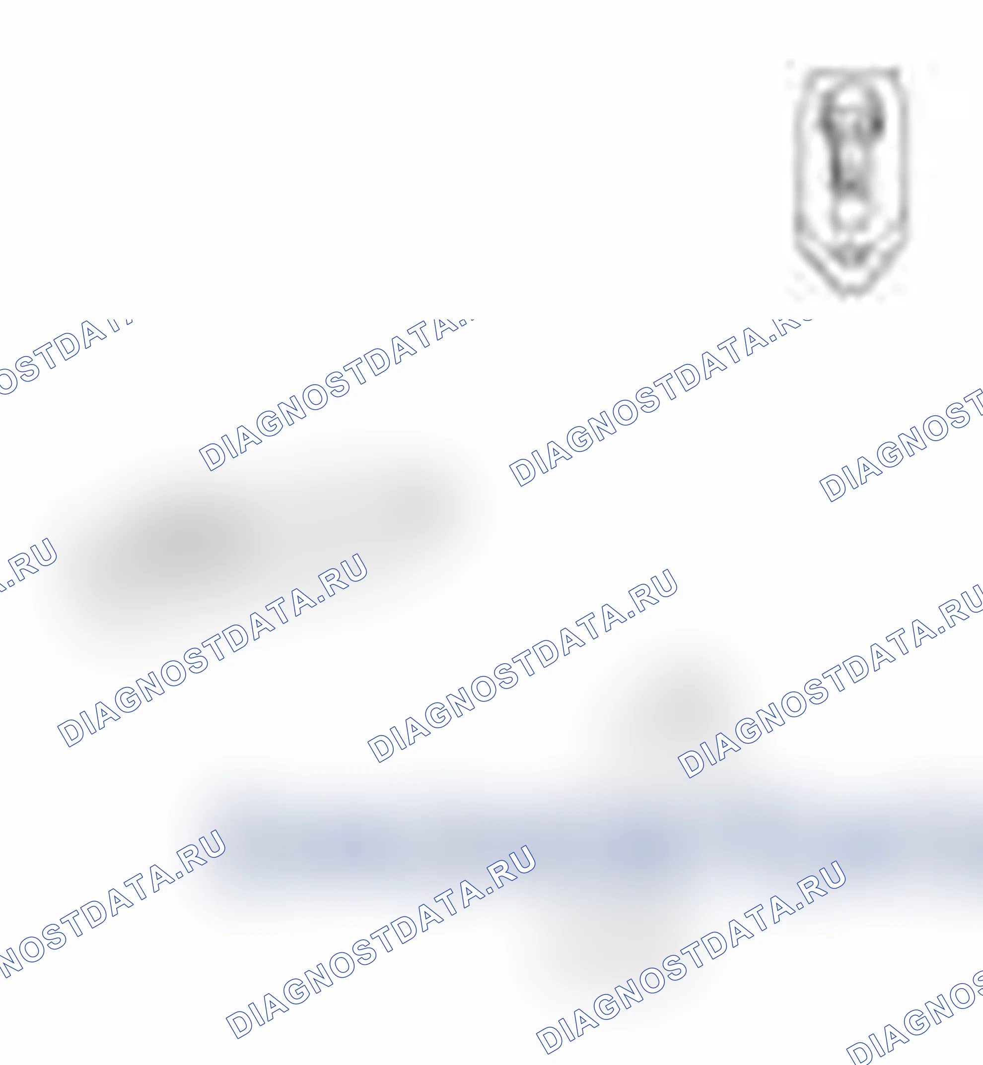 Рис. 3. Hyundai Santa Fe II рестайлинг