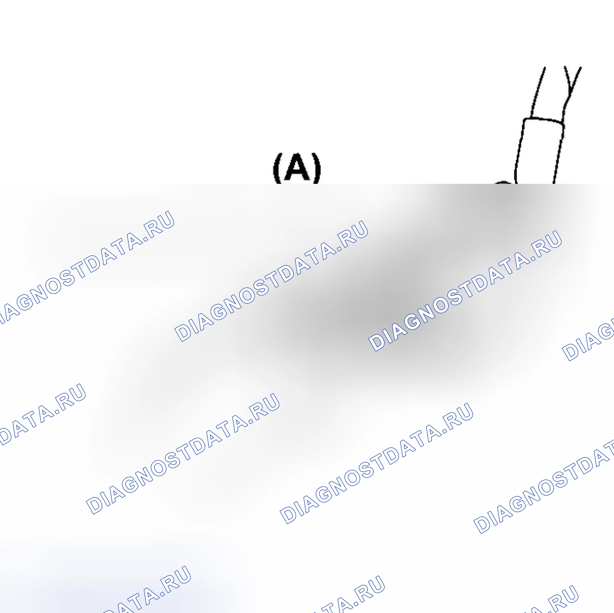 Рис. 2. Honda Vigor I