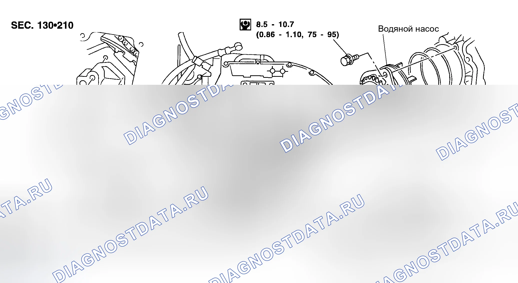 Рис. 6: Покомпонентный вид компонентов водяного насоса. Infiniti I30 II