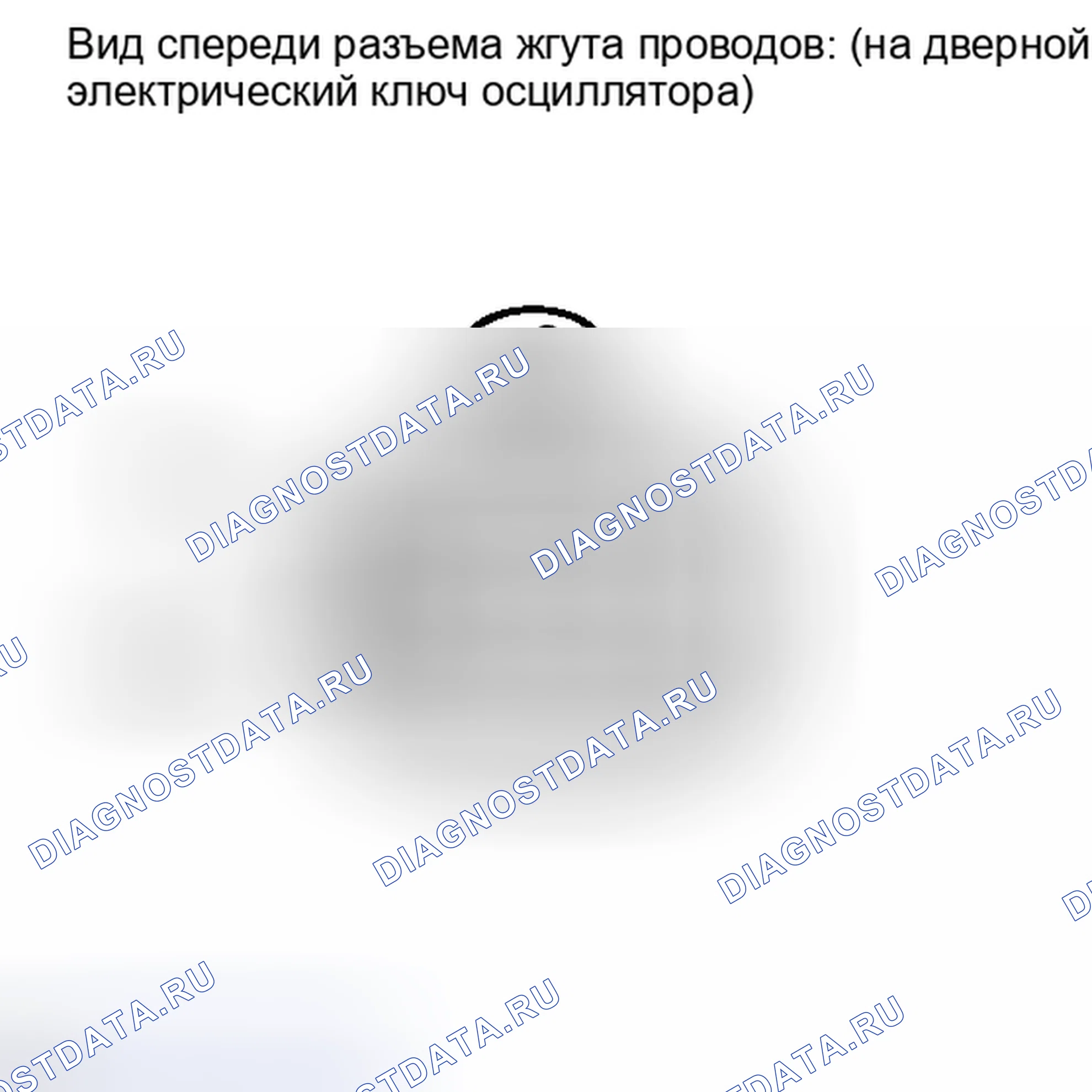 Рис. 233. Lexus IS F I