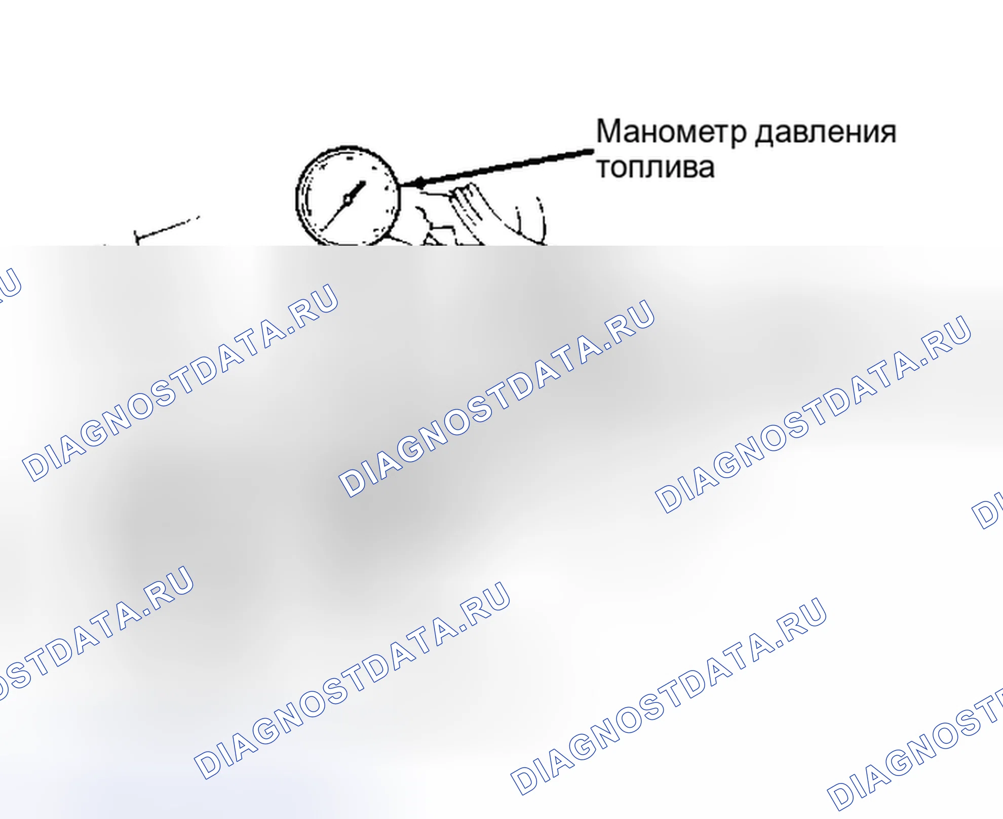 Рис. 5. Toyota Corolla VI