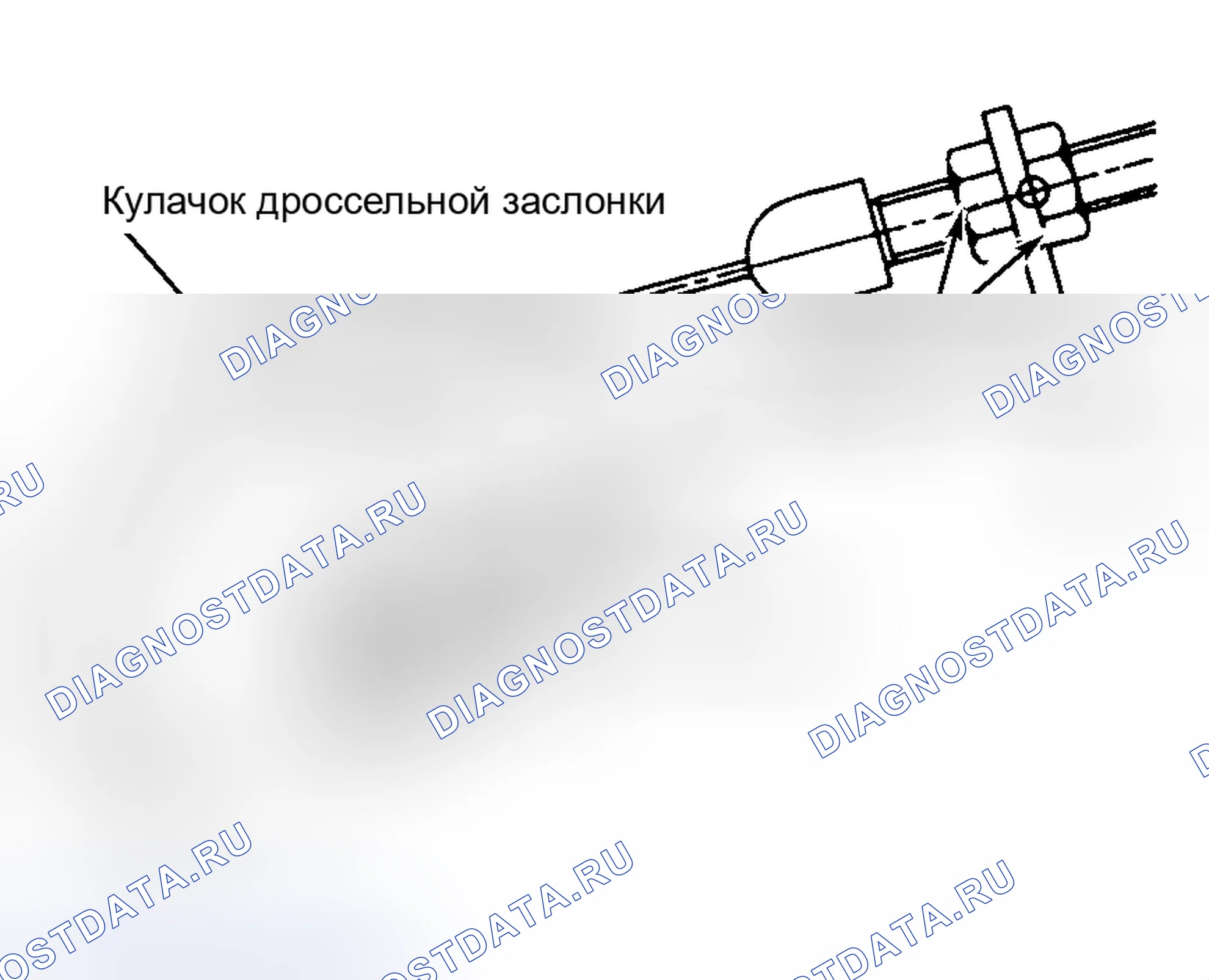 Рис. 3. Subaru Legacy BC/BJ/BF