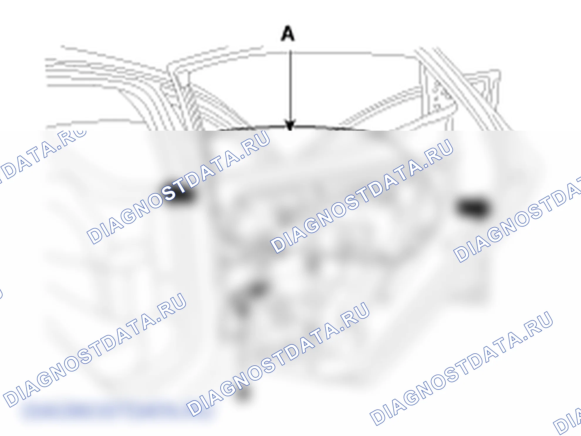 Регулировка задней двери. Hyundai Elantra V рестайлинг