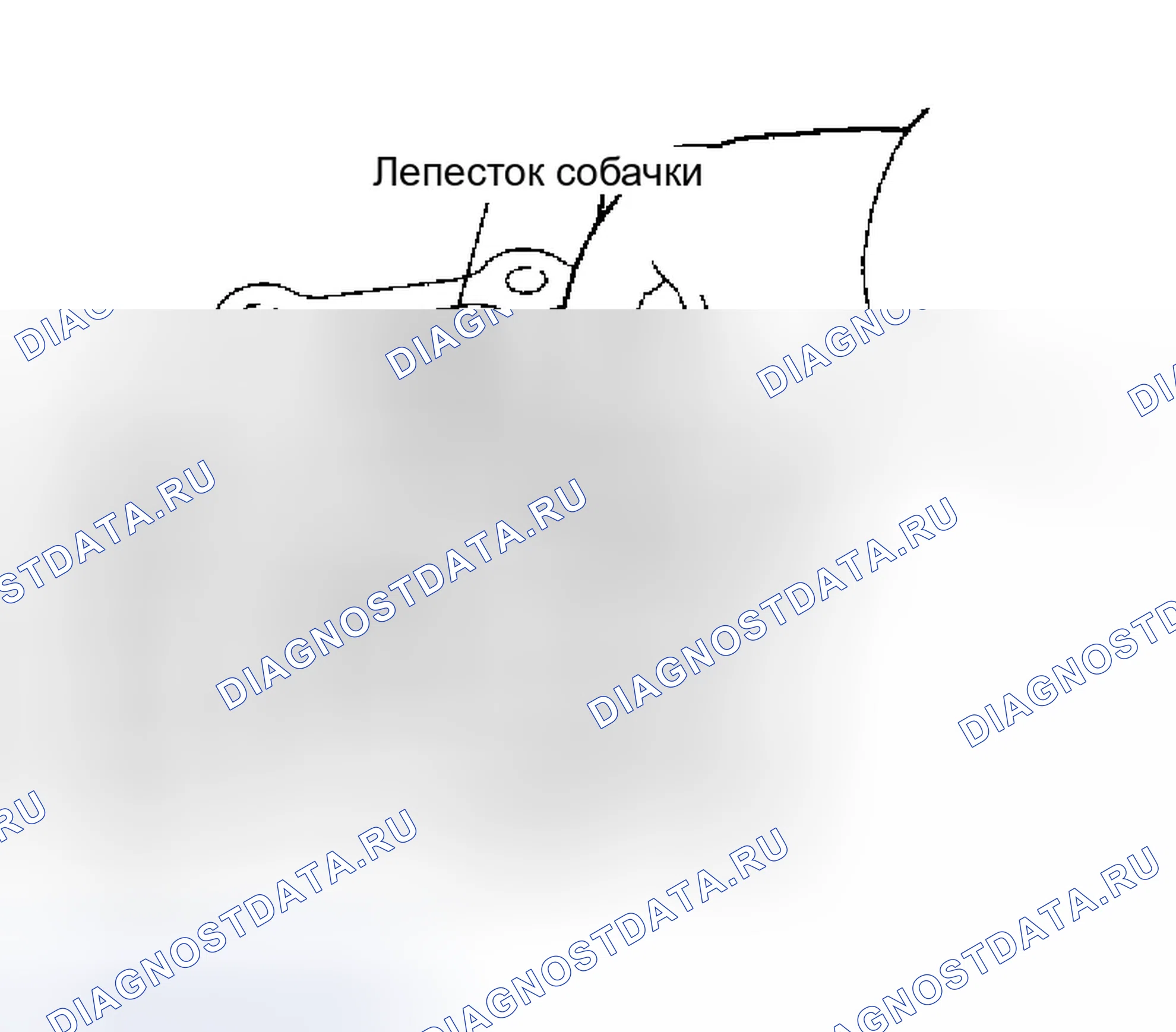 Рис. 729. Infiniti Q45 III