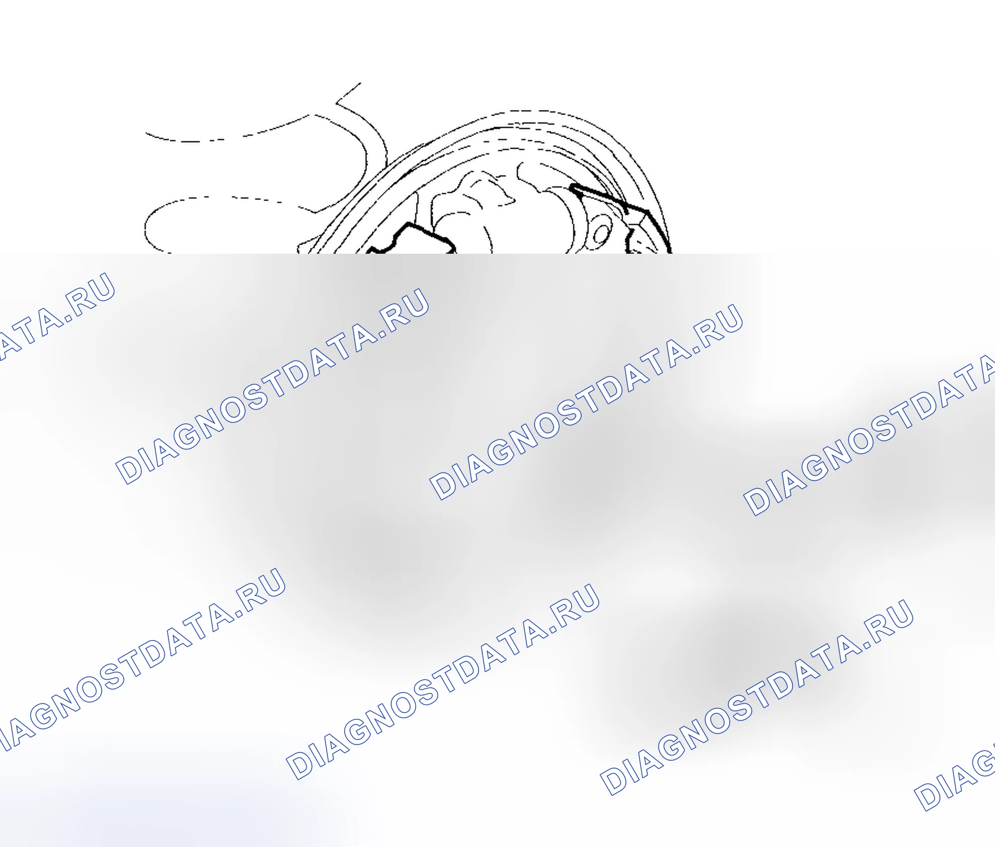 Рис. 38. Honda Insight I