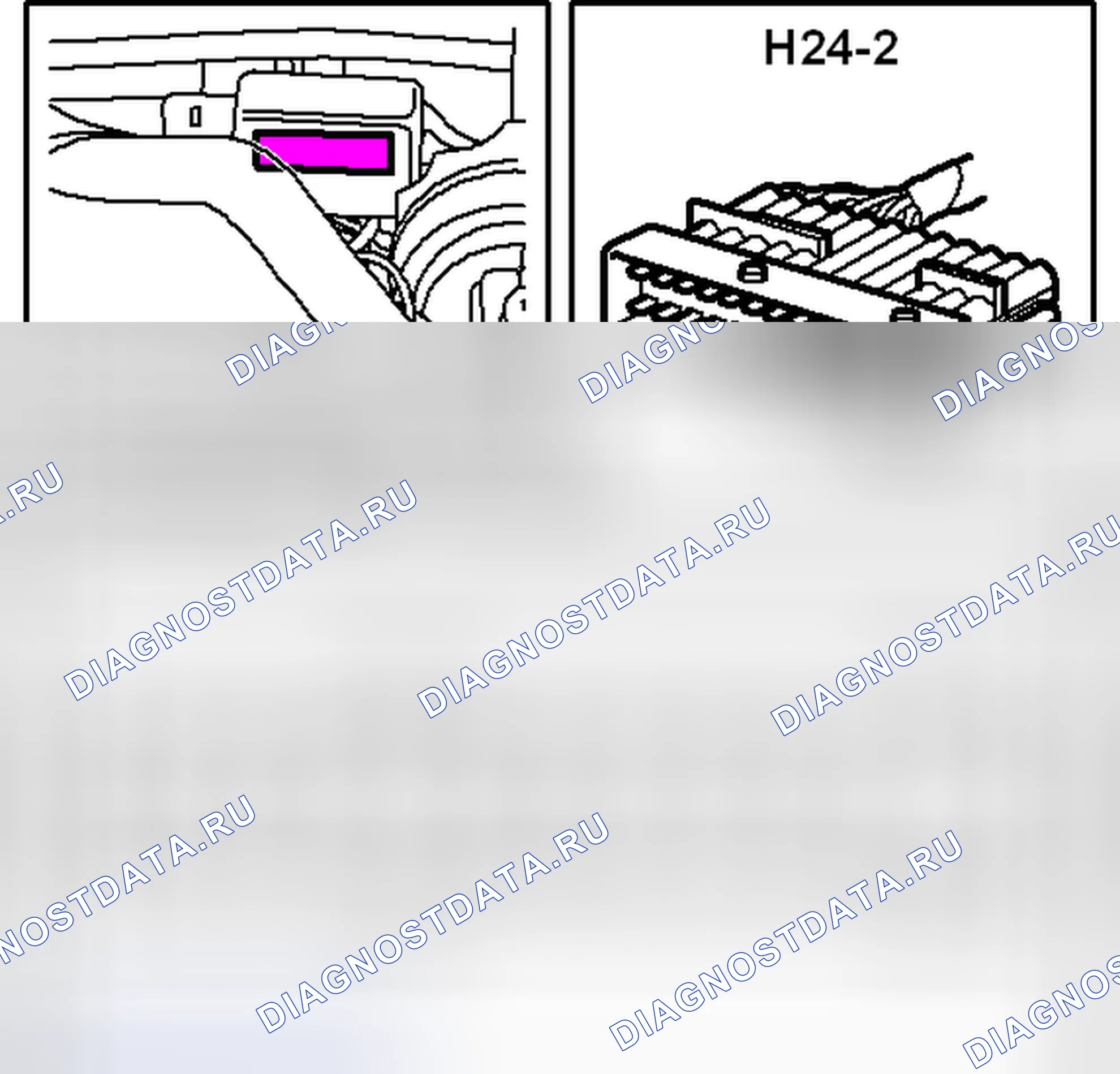 Рис. 209: Идентифицирующий соединитель H24-2 (4-цилбензин). Kia Picanto III