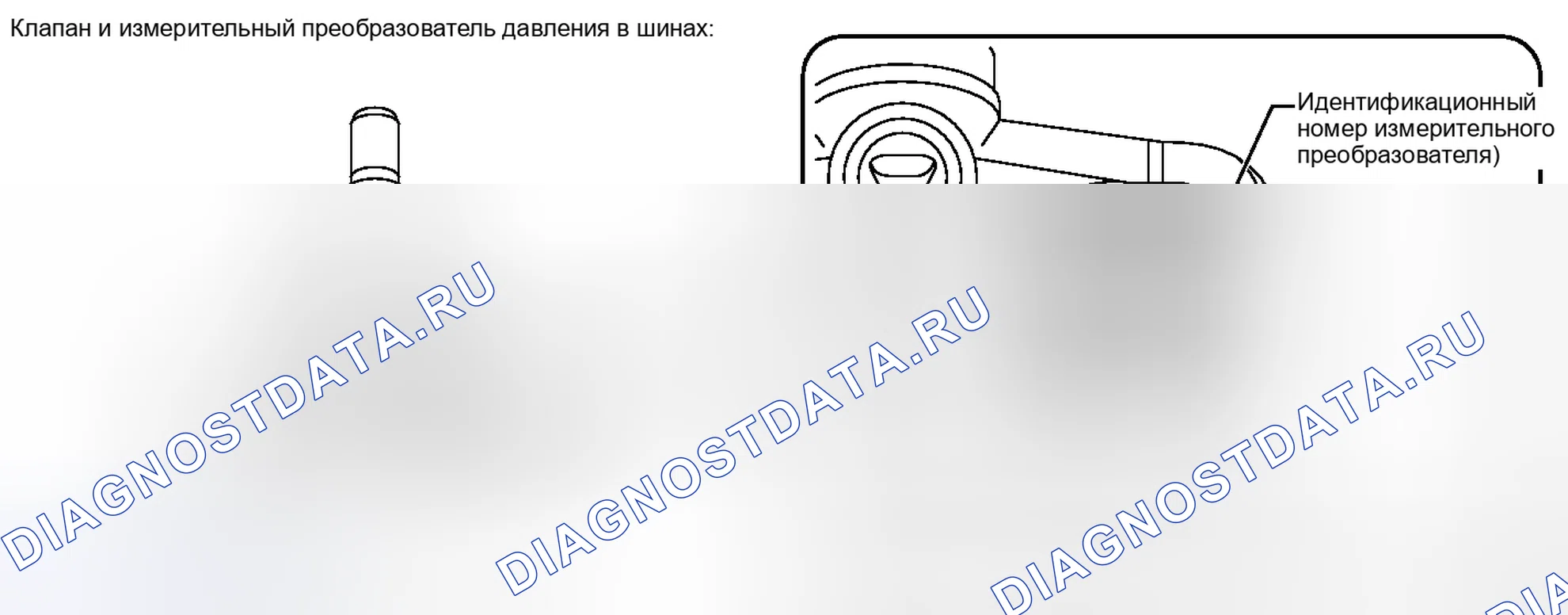 Рис. 15: РЕГИСТРАЦИЯ. Toyota Tacoma II рестайлинг
