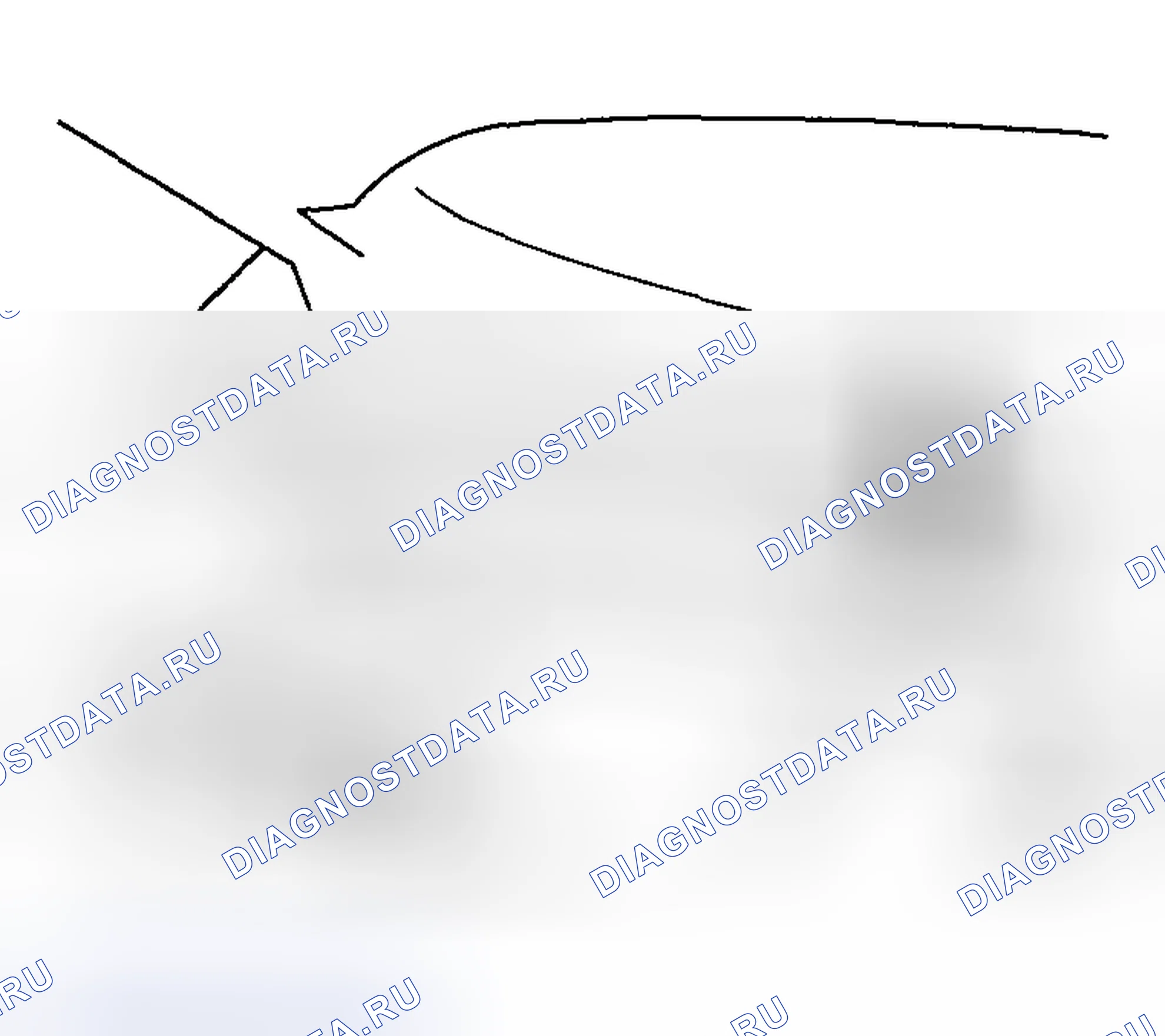 Рис. 67: Номер шасси. Honda CR-V III рестайлинг