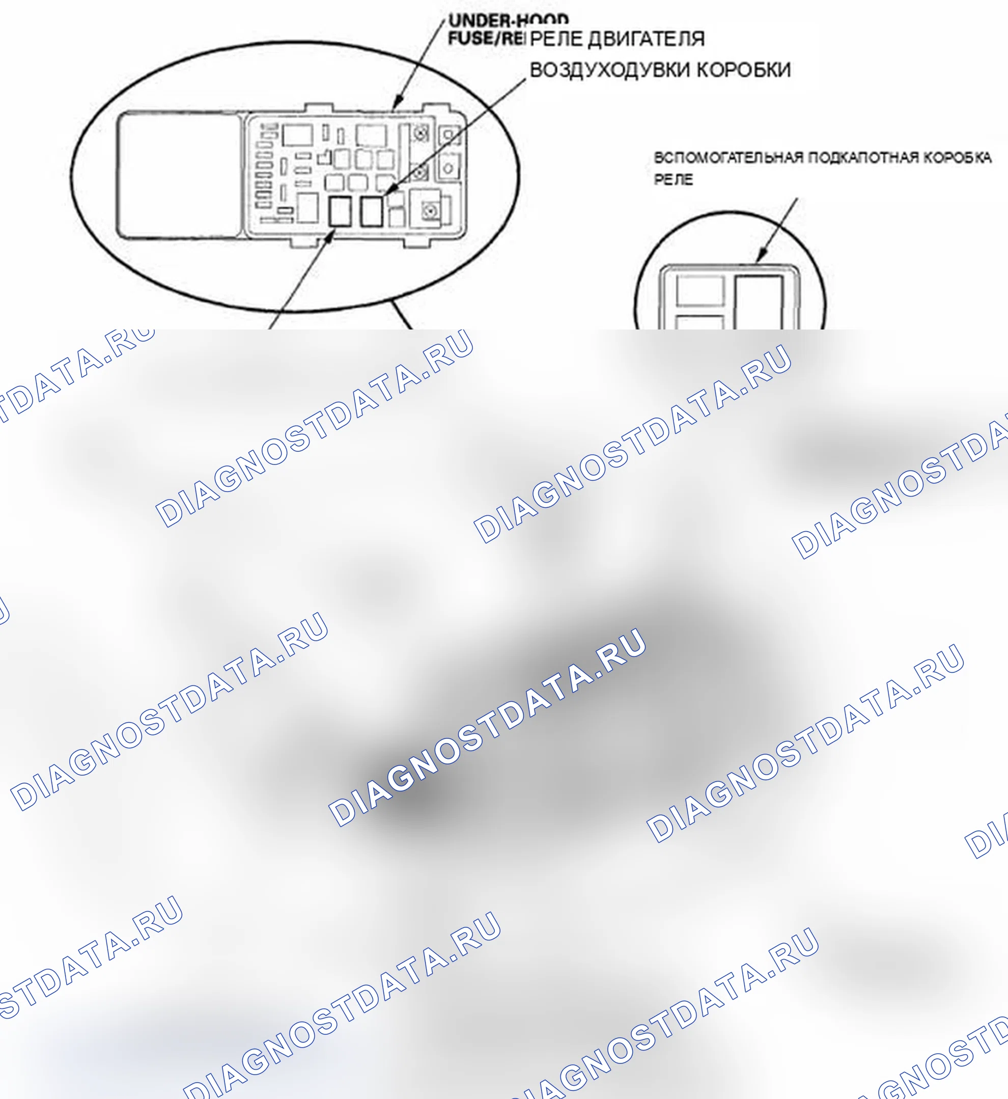 Рис. 3. Acura RL II рестайлинг