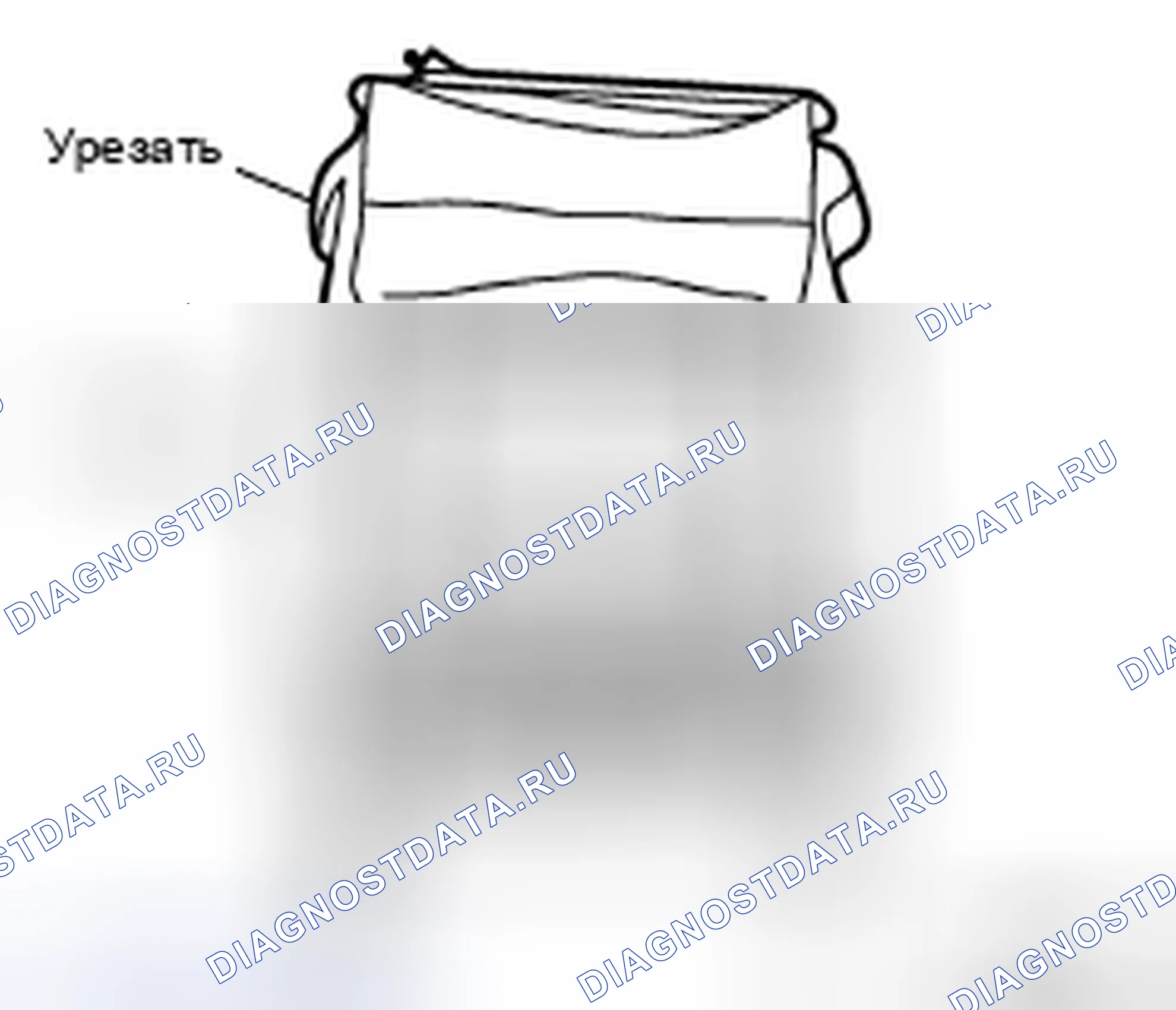 Рис. 2. Nissan X-Trail I