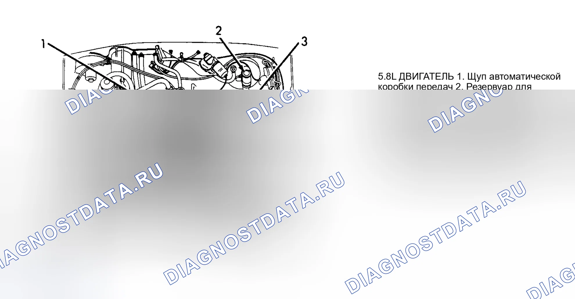 Рис. 8: РАСПОЛОЖЕНИЕ ТОЧЕК ОБСЛУЖИВАНИЯ. Mazda Familia BF