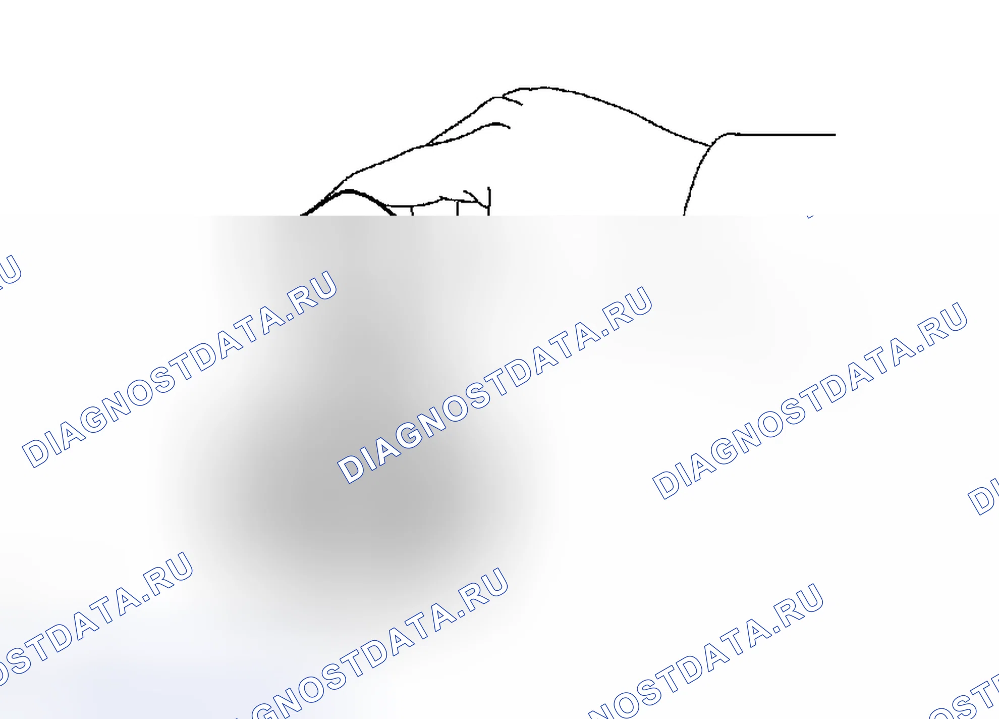 Рис. 961. Toyota Tacoma II