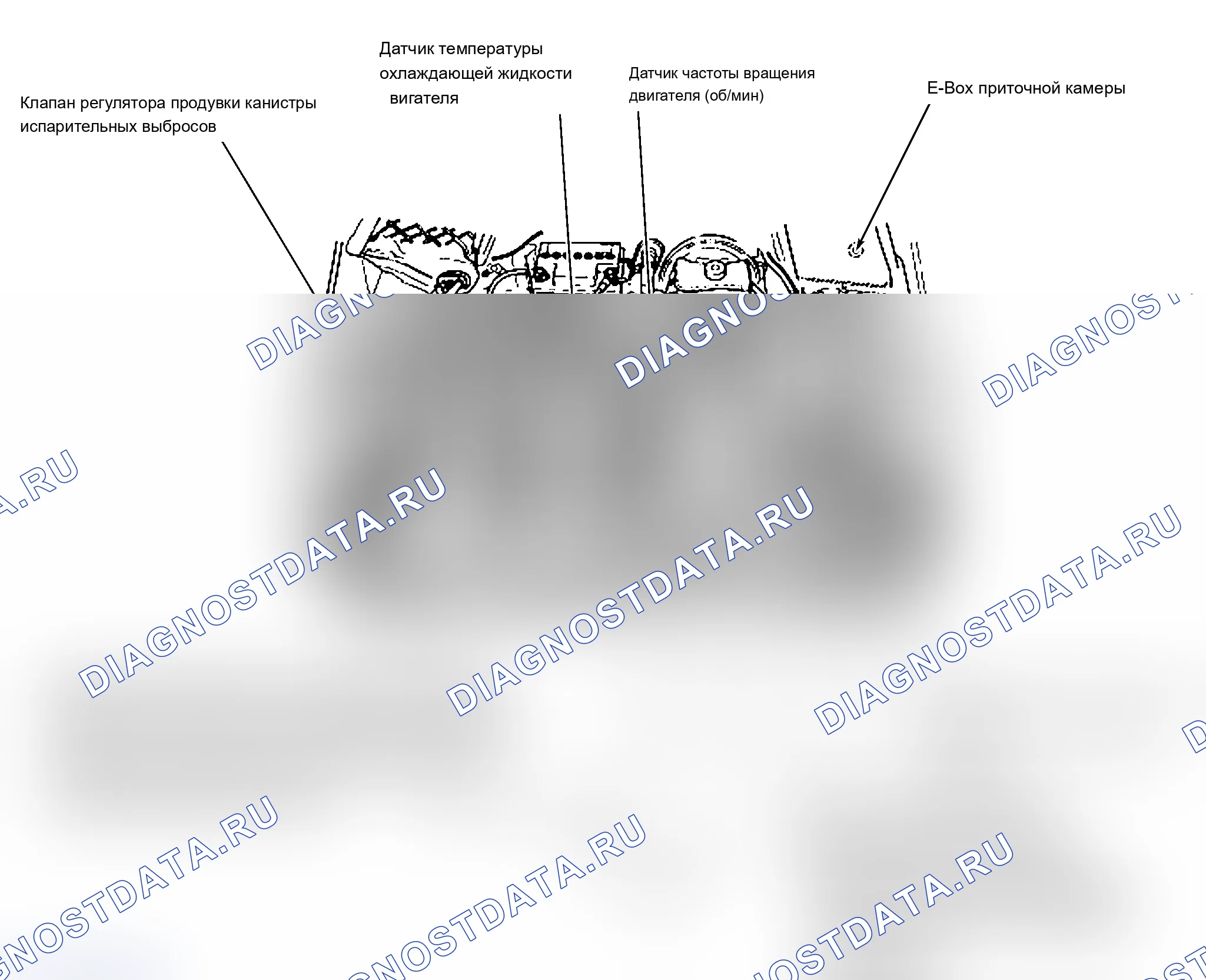 Рис. 1: ГРАФИКИ РАСПОЛОЖЕНИЯ КОМПОНЕНТОВ. Audi A4 B6