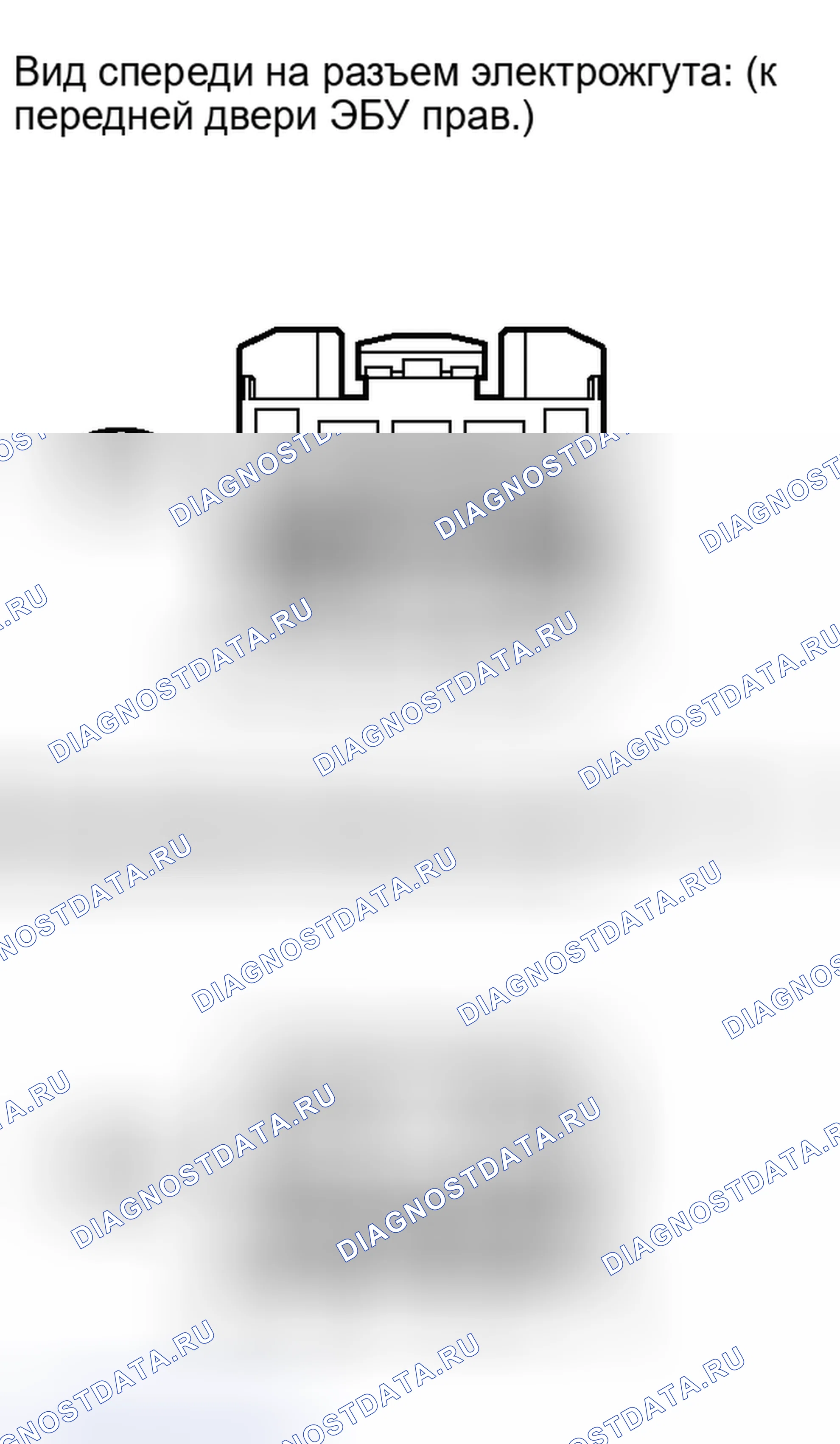 Рис. 494. Honda Accord IV