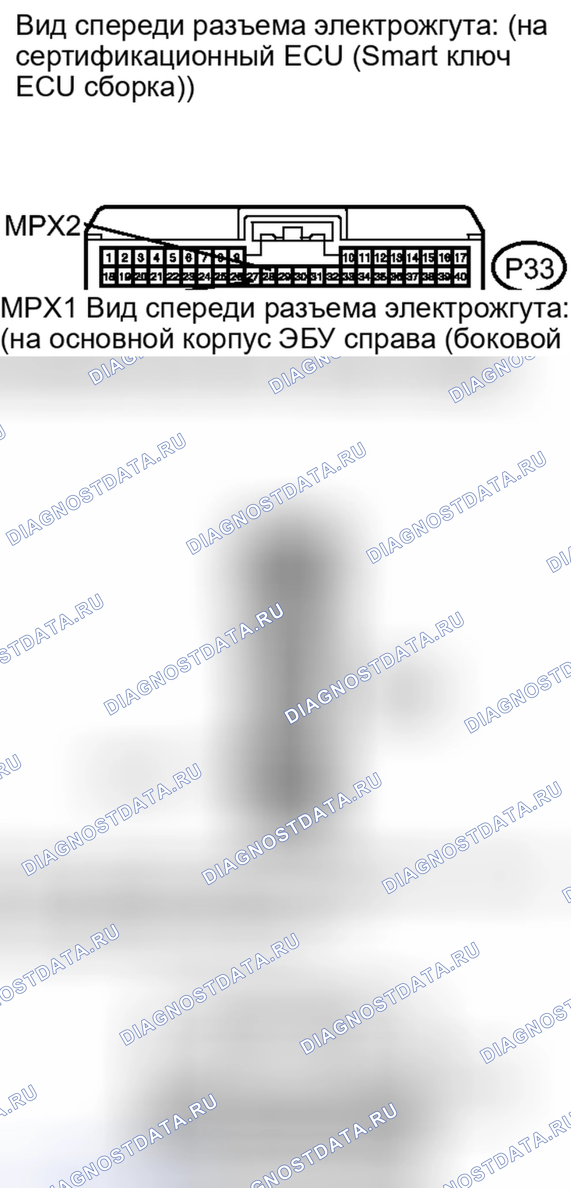 Рис. 169. Lexus IS F I