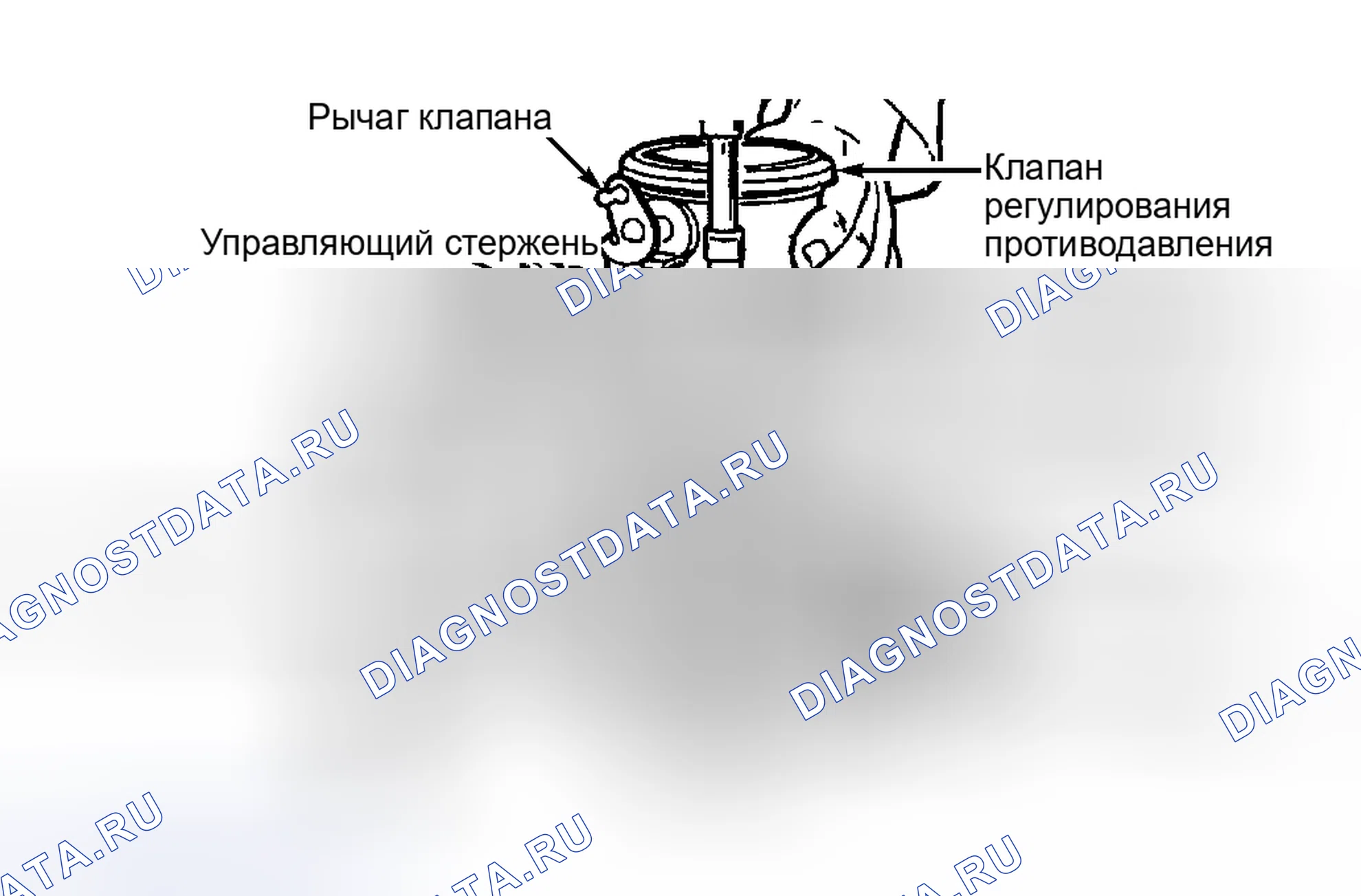 Рис. 19. Ford Cab & Chassis F350 
