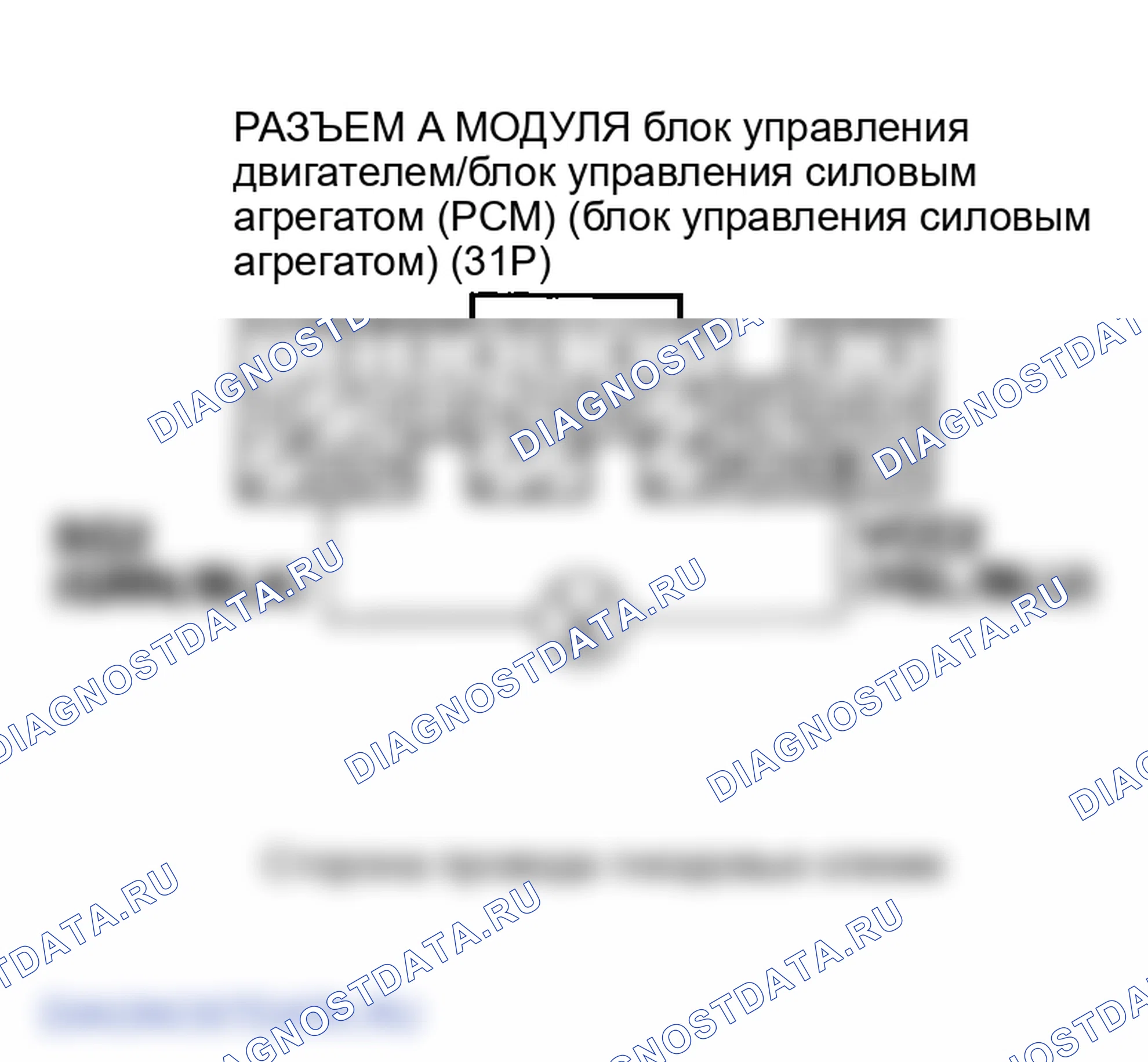 Рис. 90. Honda Element YH2