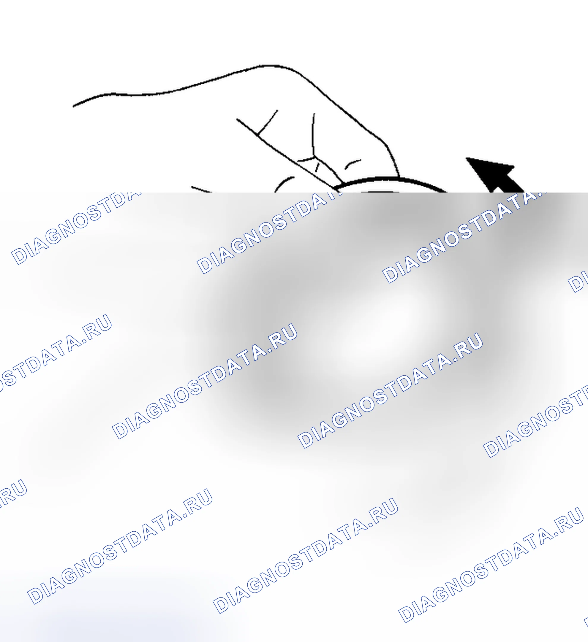 Рис. 148: Подшипник. Nissan Maxima A33