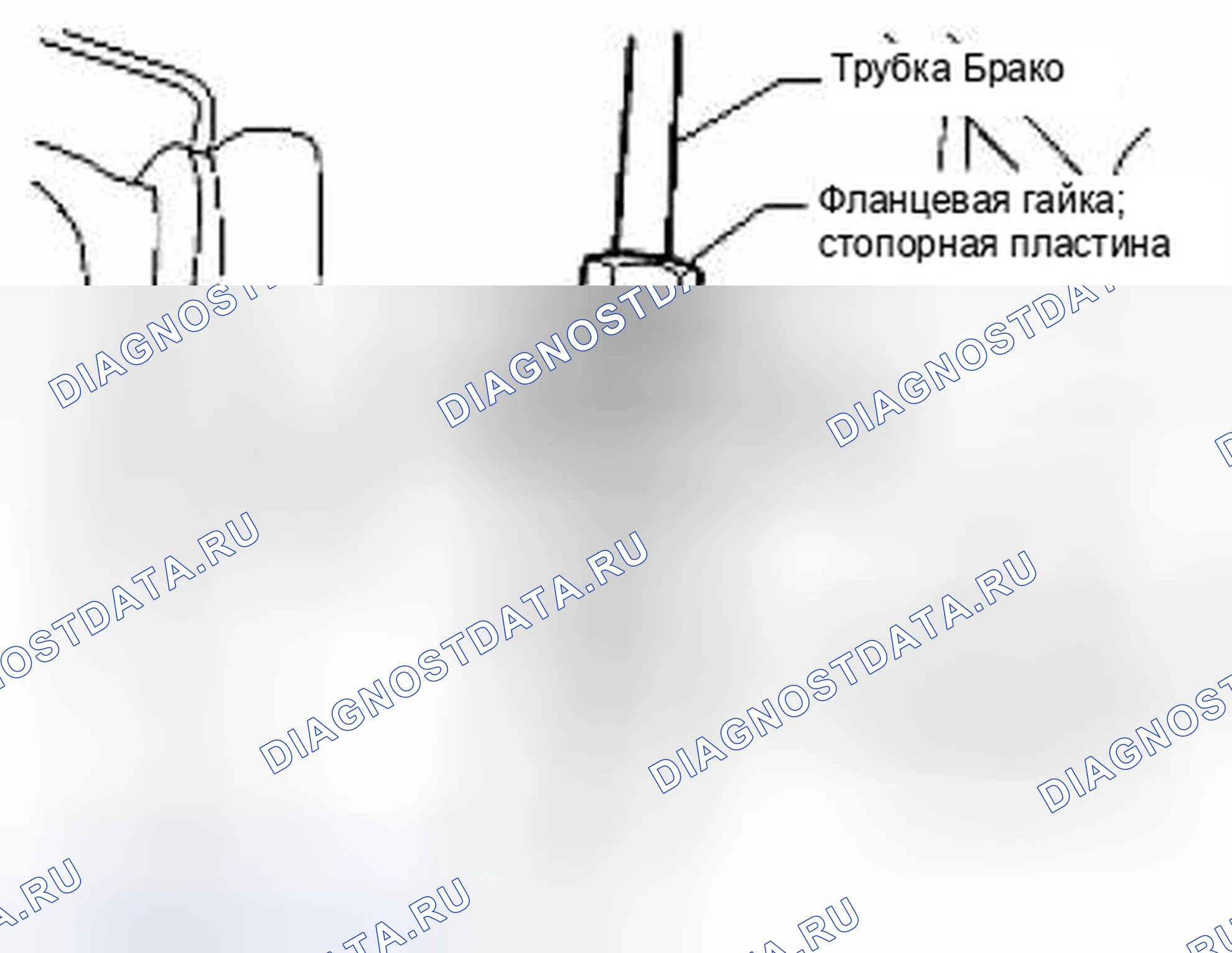 Рис. 25. Suzuki Equator I