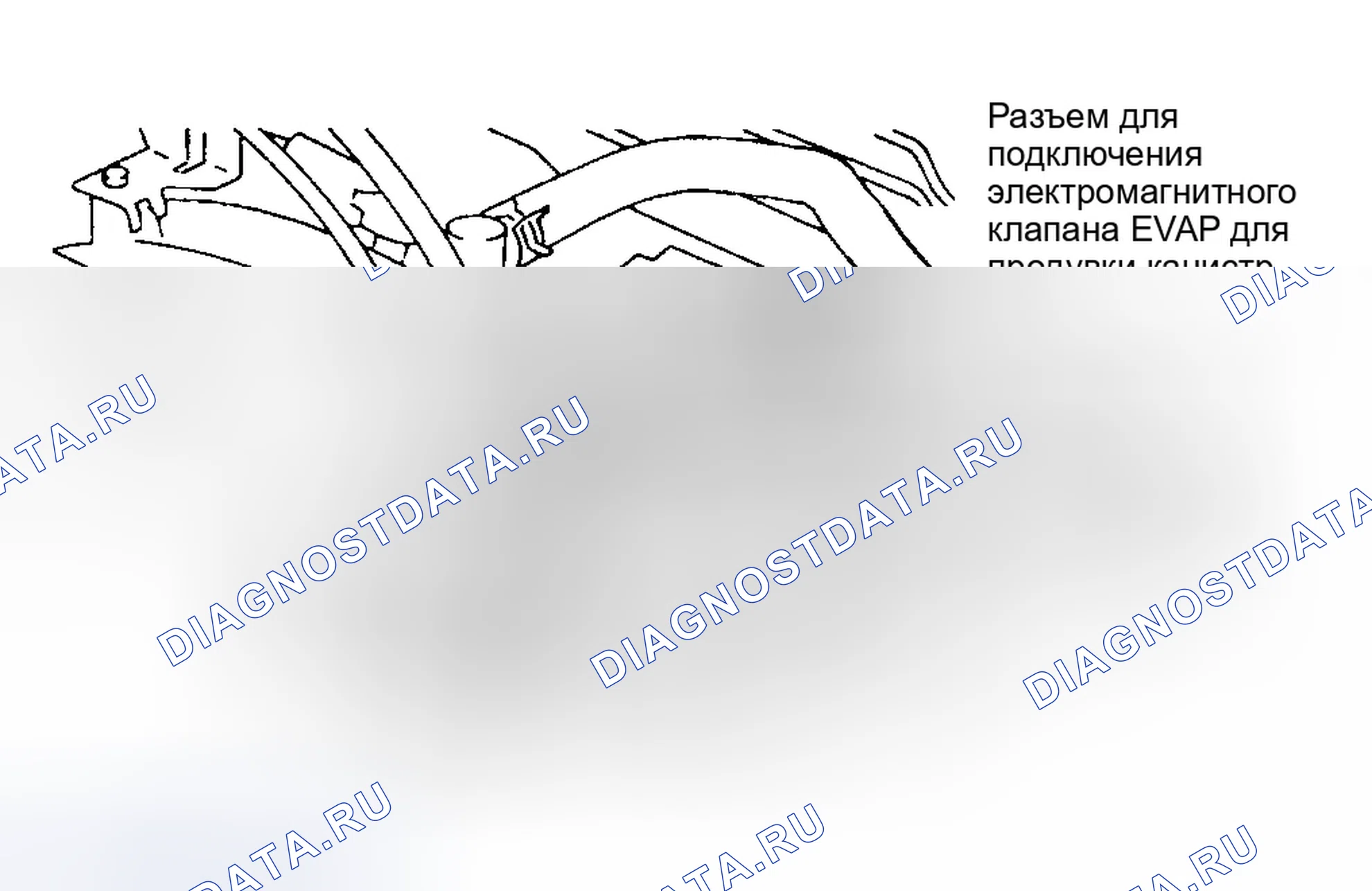 Рис. 16. Infiniti QX4 I