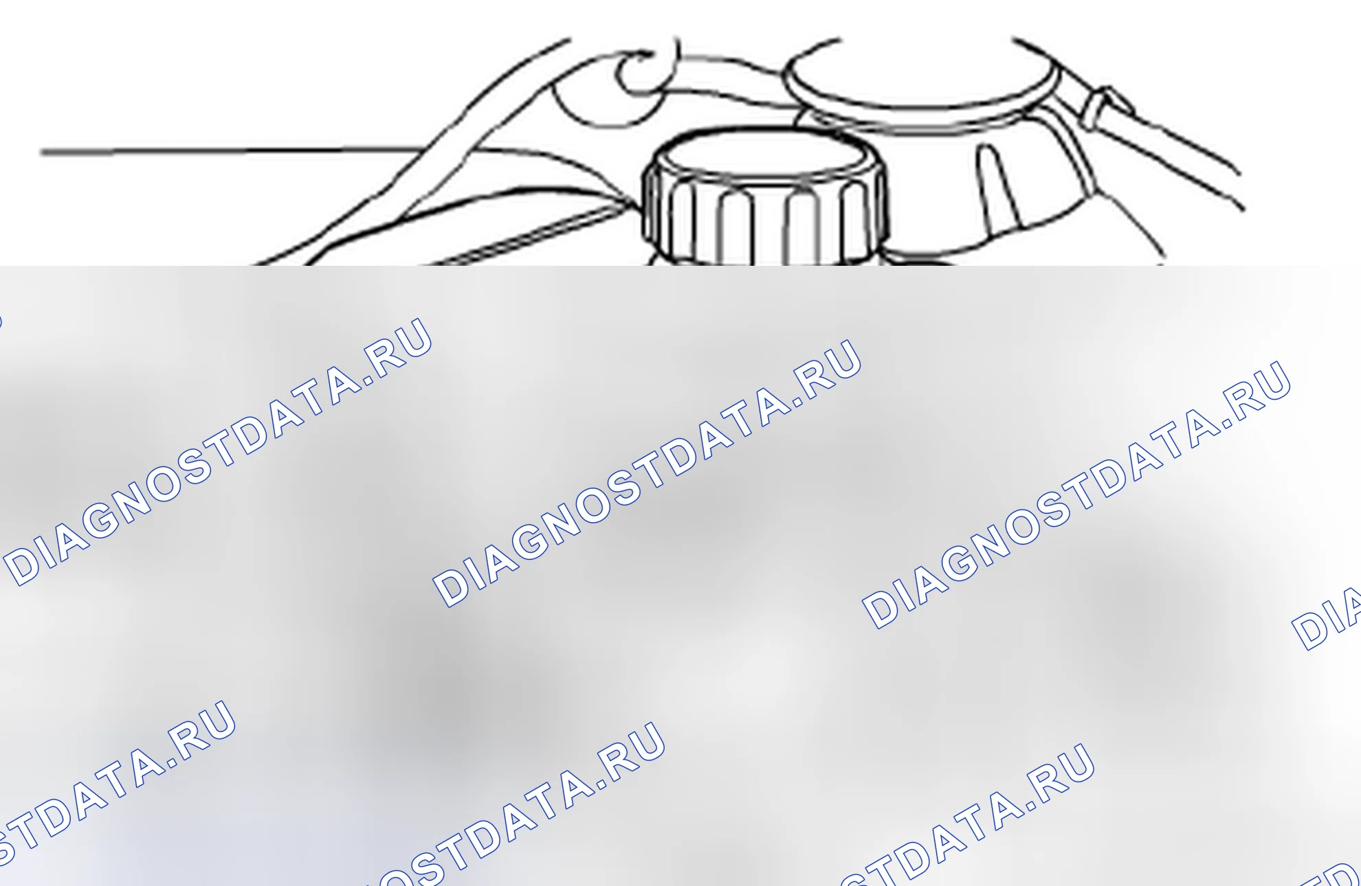 Рис. 20. Suzuki Forenza I