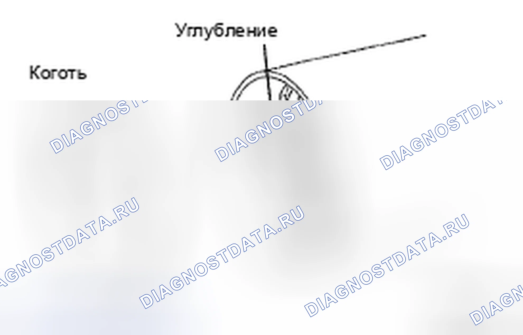 Рис. 92. Toyota Avalon XX30 рестайлинг