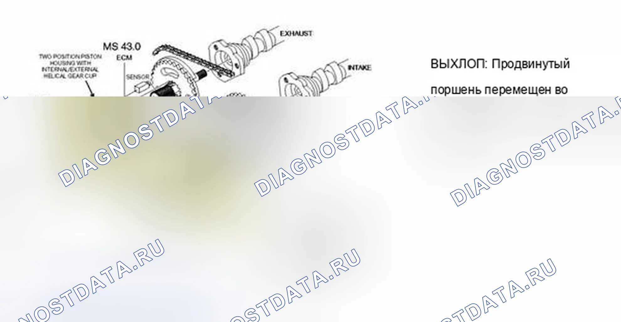 Рис. 1306. BMW X5 E53 рестайлинг