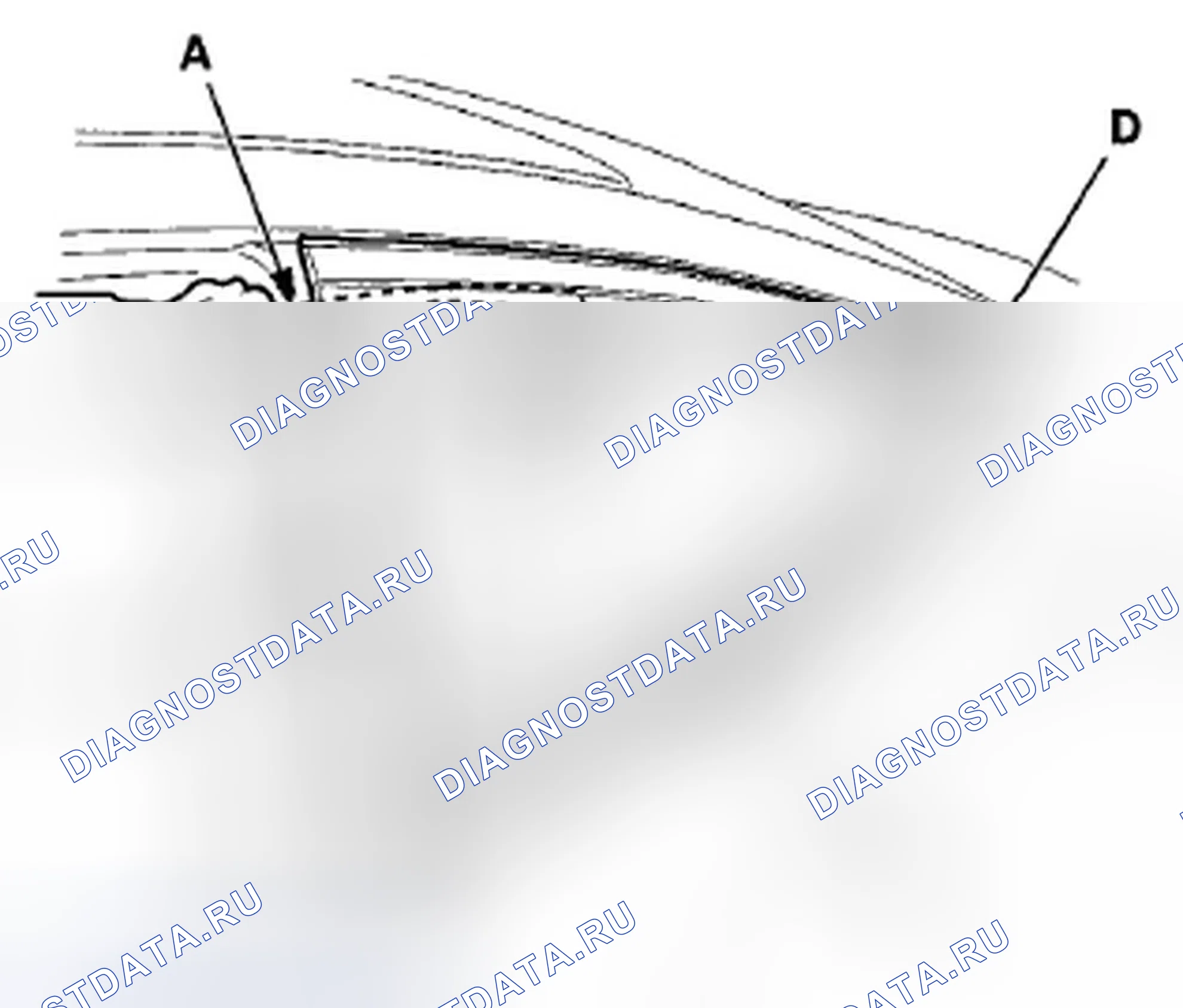 Рис. 202. Honda Accord VIII рестайлинг