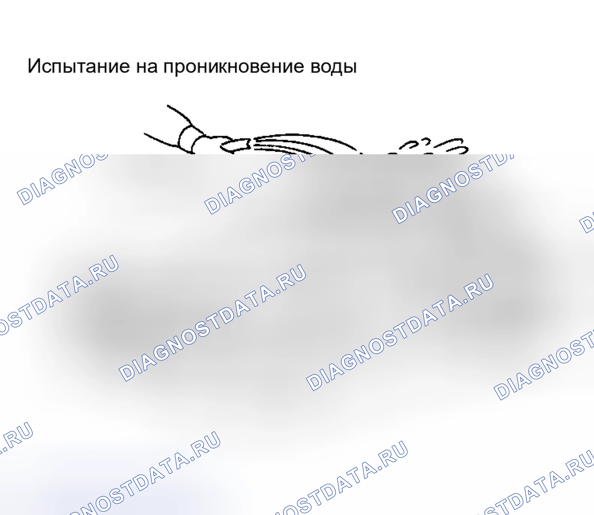 Рис. 63: Проникновение воды. Nissan 350Z I