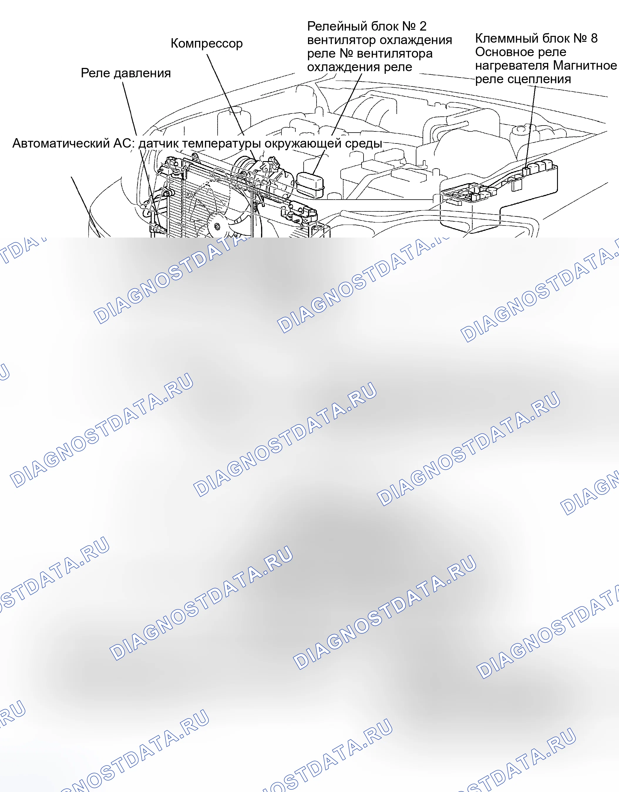 Рис. 29: РАСПОЛОЖЕНИЕ. Toyota Avalon XX20 рестайлинг
