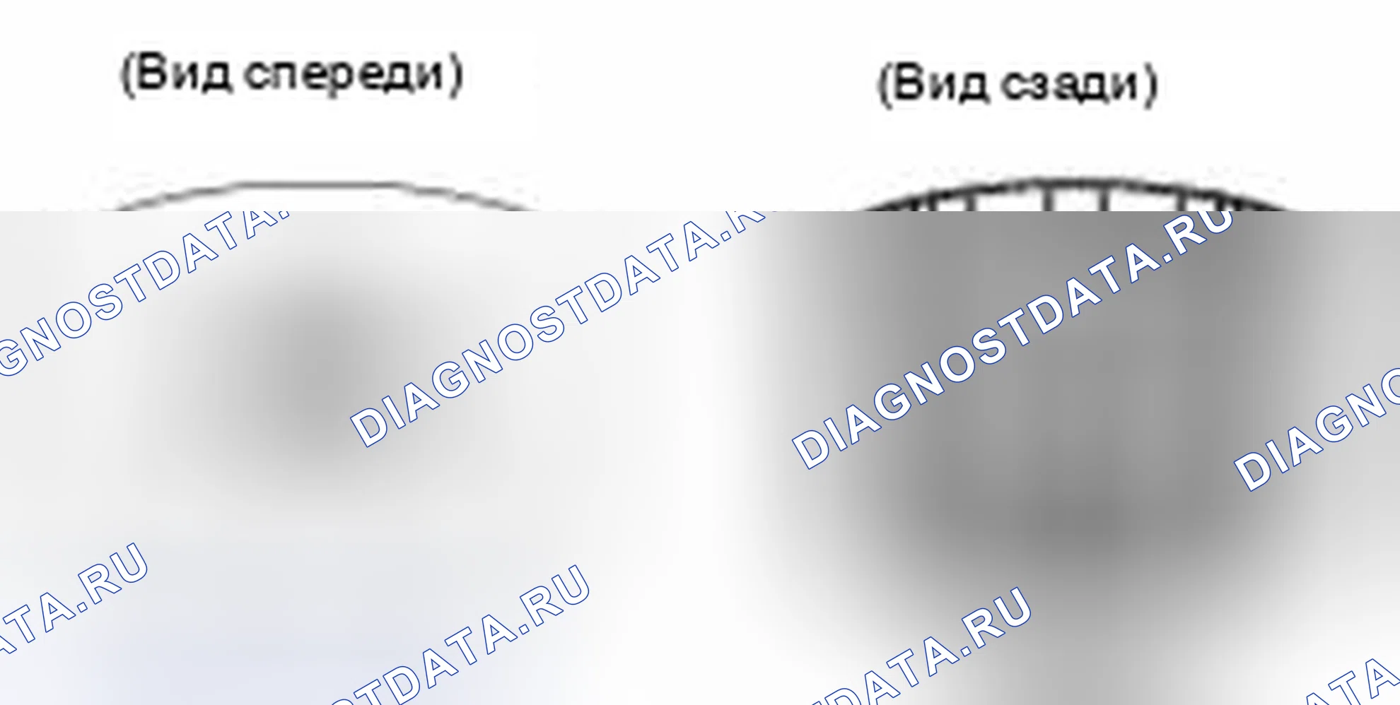 Рис. 12. Haval Beast (Shenshou) I