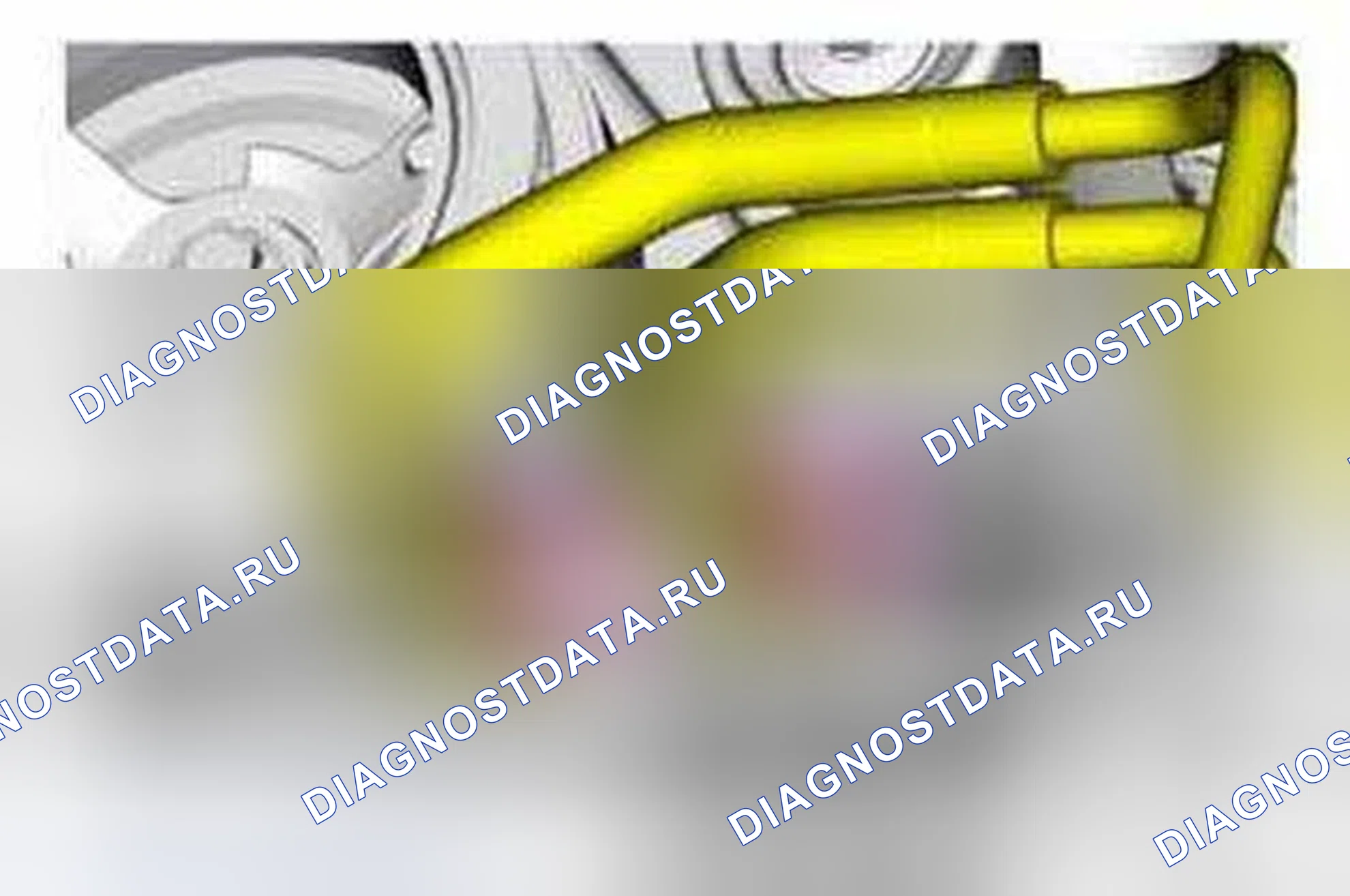 Рис. 703. Ford Mustang V рестайлинг 2