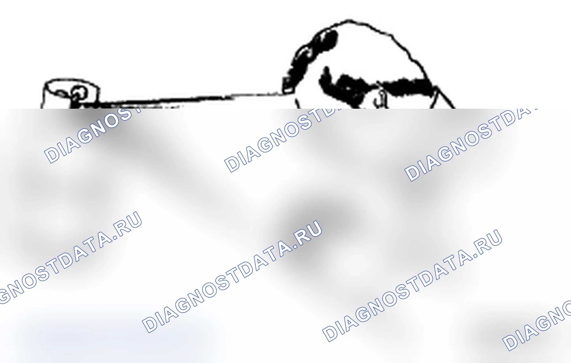 Рис. 2. Toyota Land Cruiser 200