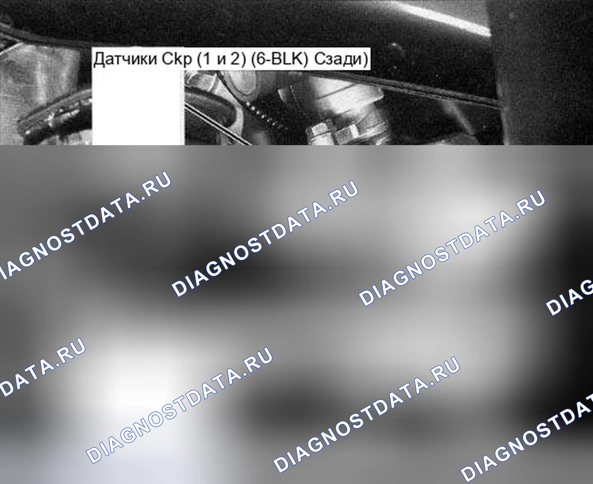 Рис. 318. Honda Accord VII рестайлинг