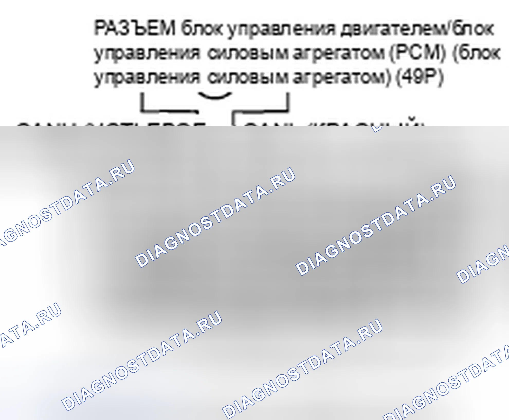 Рис. 854. Honda Accord VIII рестайлинг
