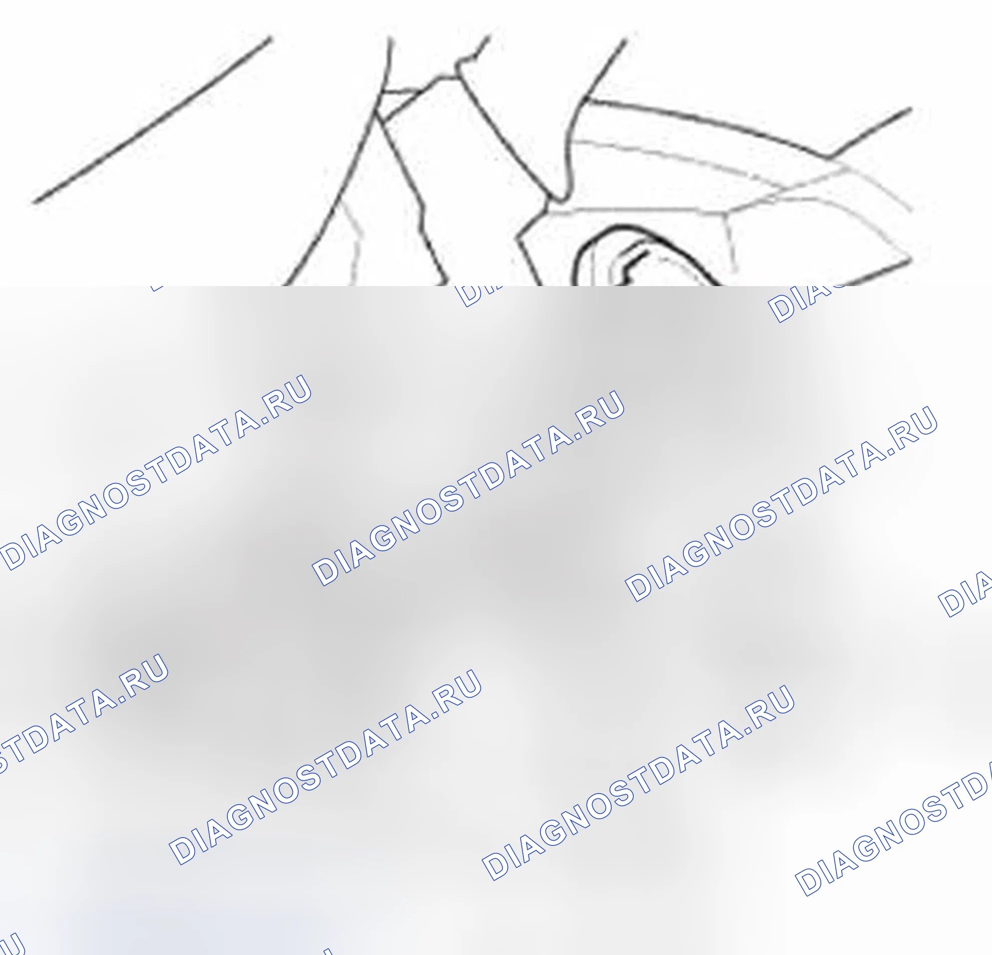 Рис. 206: Установка. Honda CR-V IV