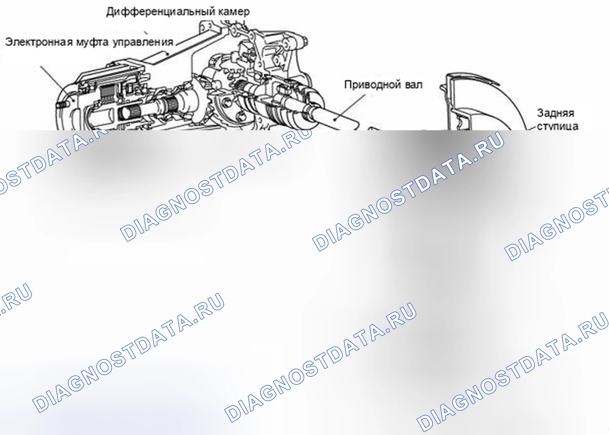 Рис. 126: Тип B. Honda Domani MB