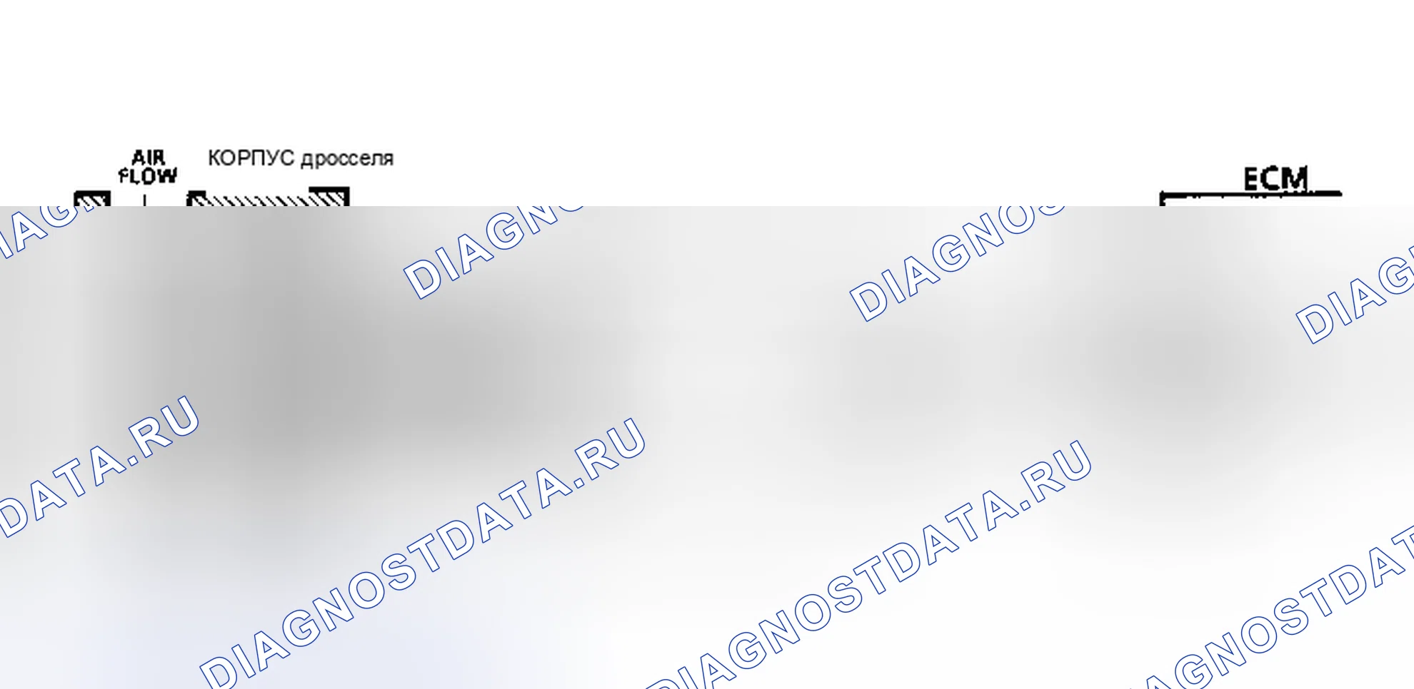 Рис. 324: Диаграмма C2C. Схема управления подачей воздуха на холостом ходу (2.8L F/Y кузов). Chevrolet Camaro III рестайлинг