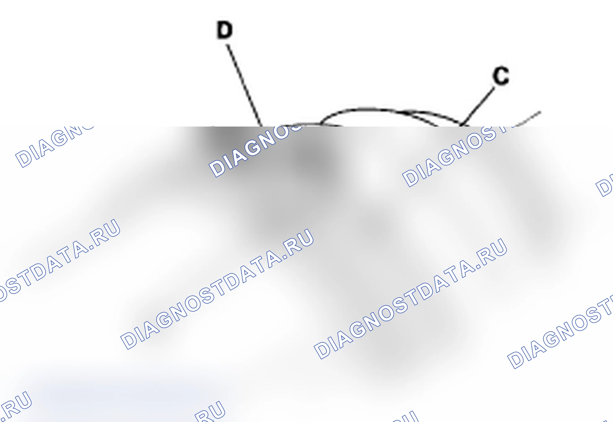Рис. 86. Acura RL II рестайлинг