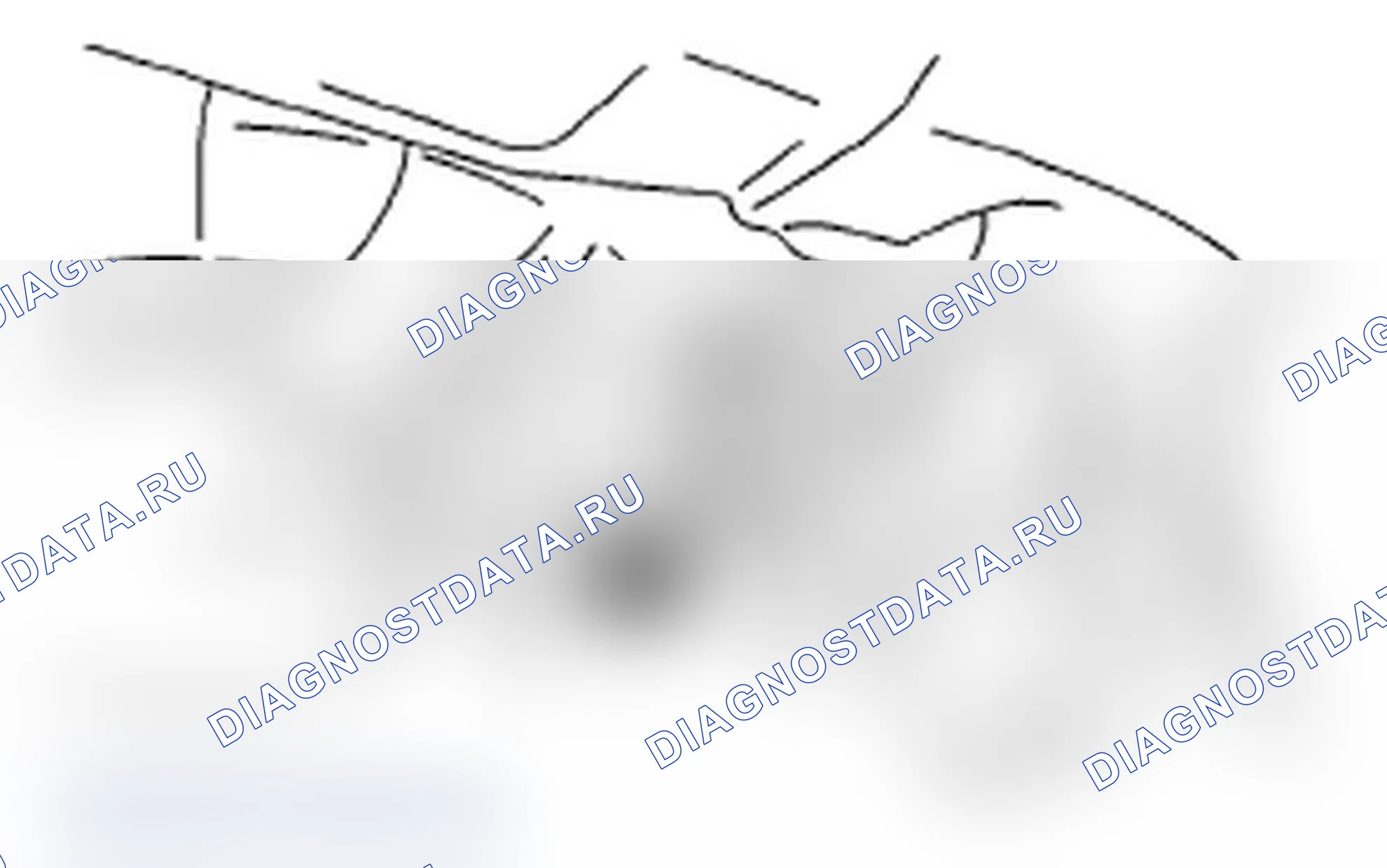 Рис. 310. Subaru Impreza WRX GD/GG рестайлинг 2