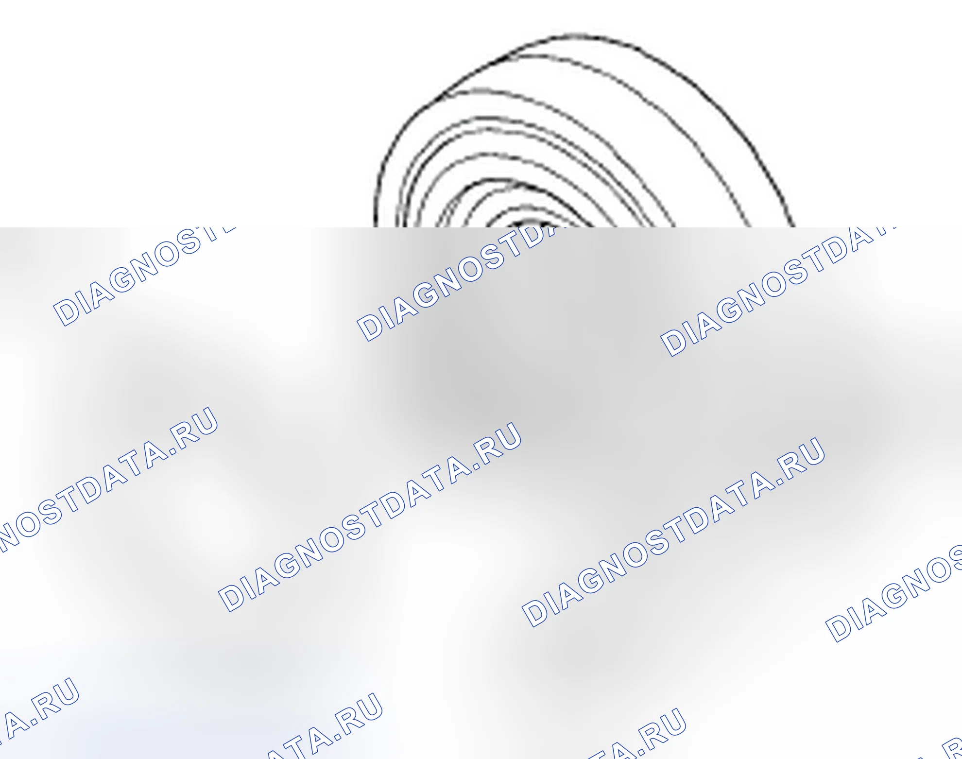Рис. 82. Honda Element YH2 рестайлинг 2