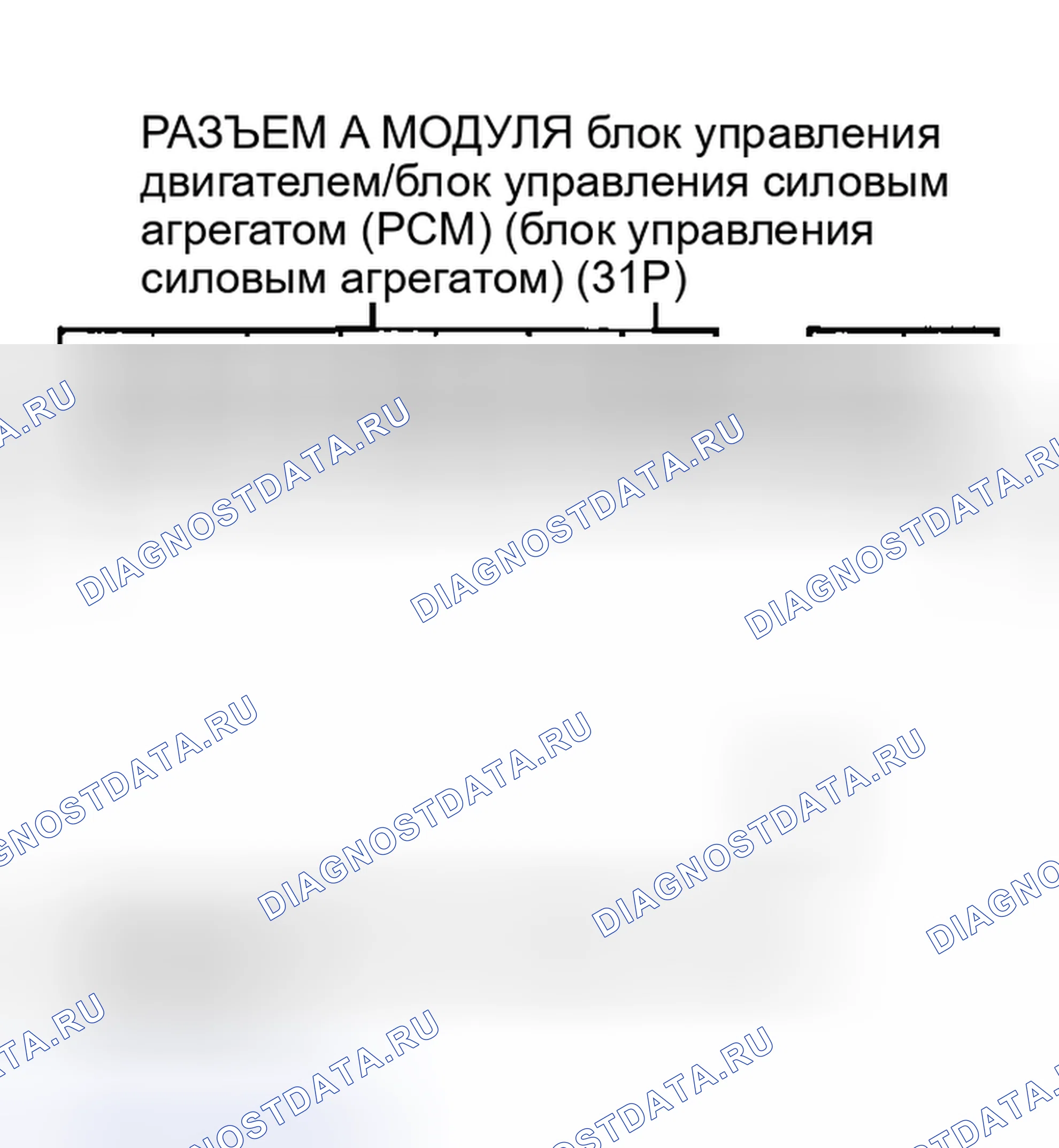 Рис. 146. Acura RSX I