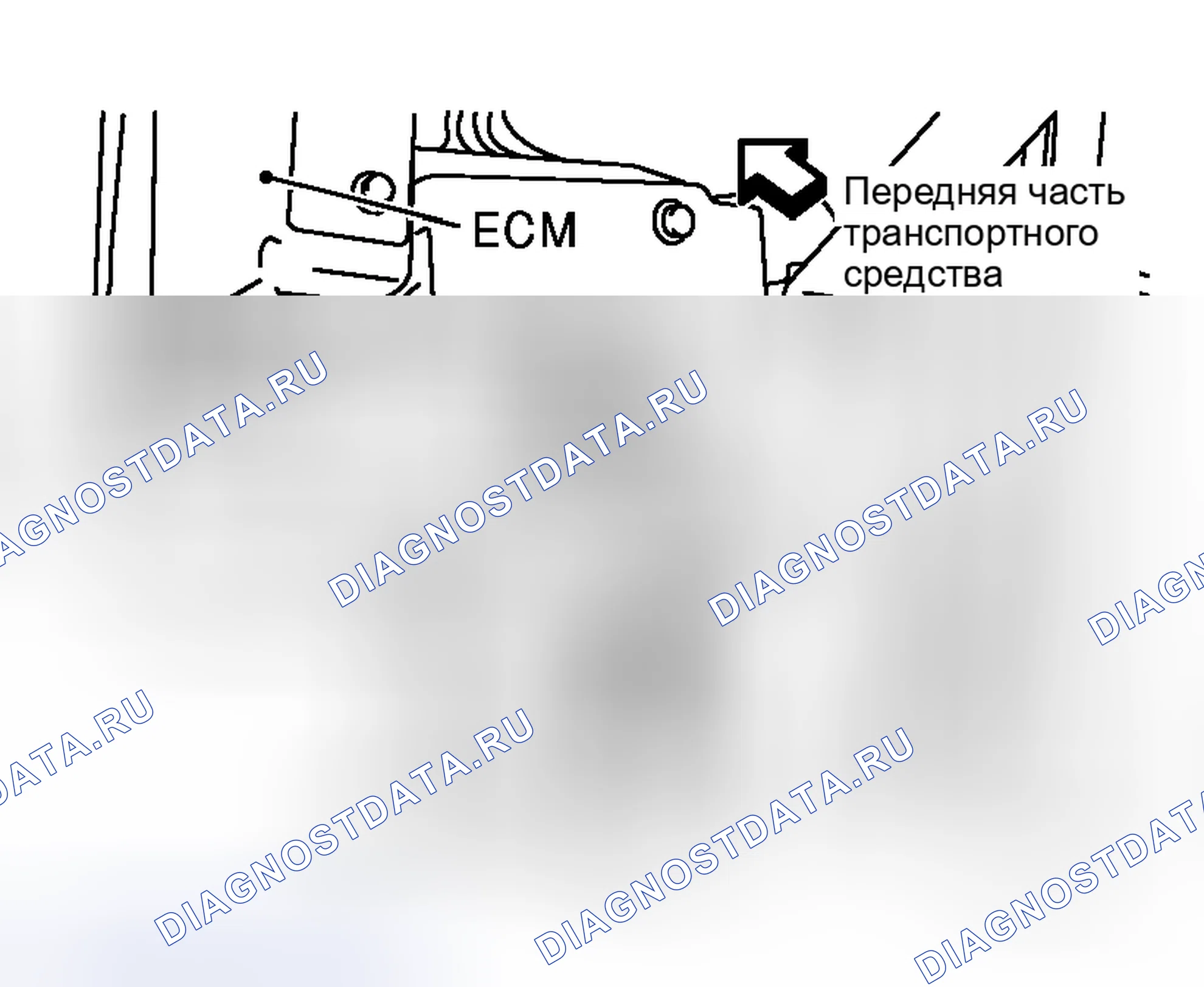 Рис. 347: Сторона пассажирского помещения. Honda Life I