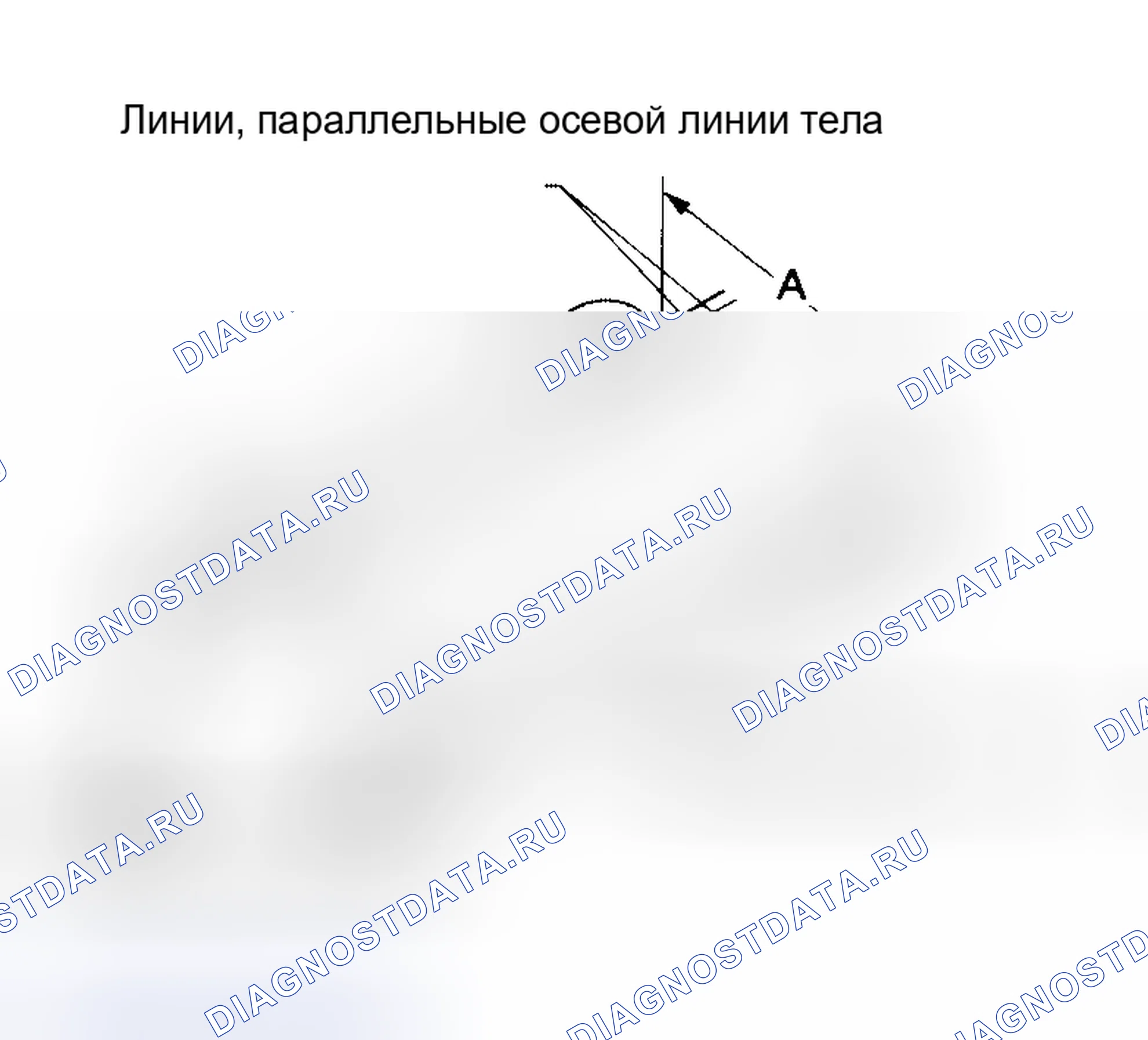 Рис. 4. Nissan Sentra B15