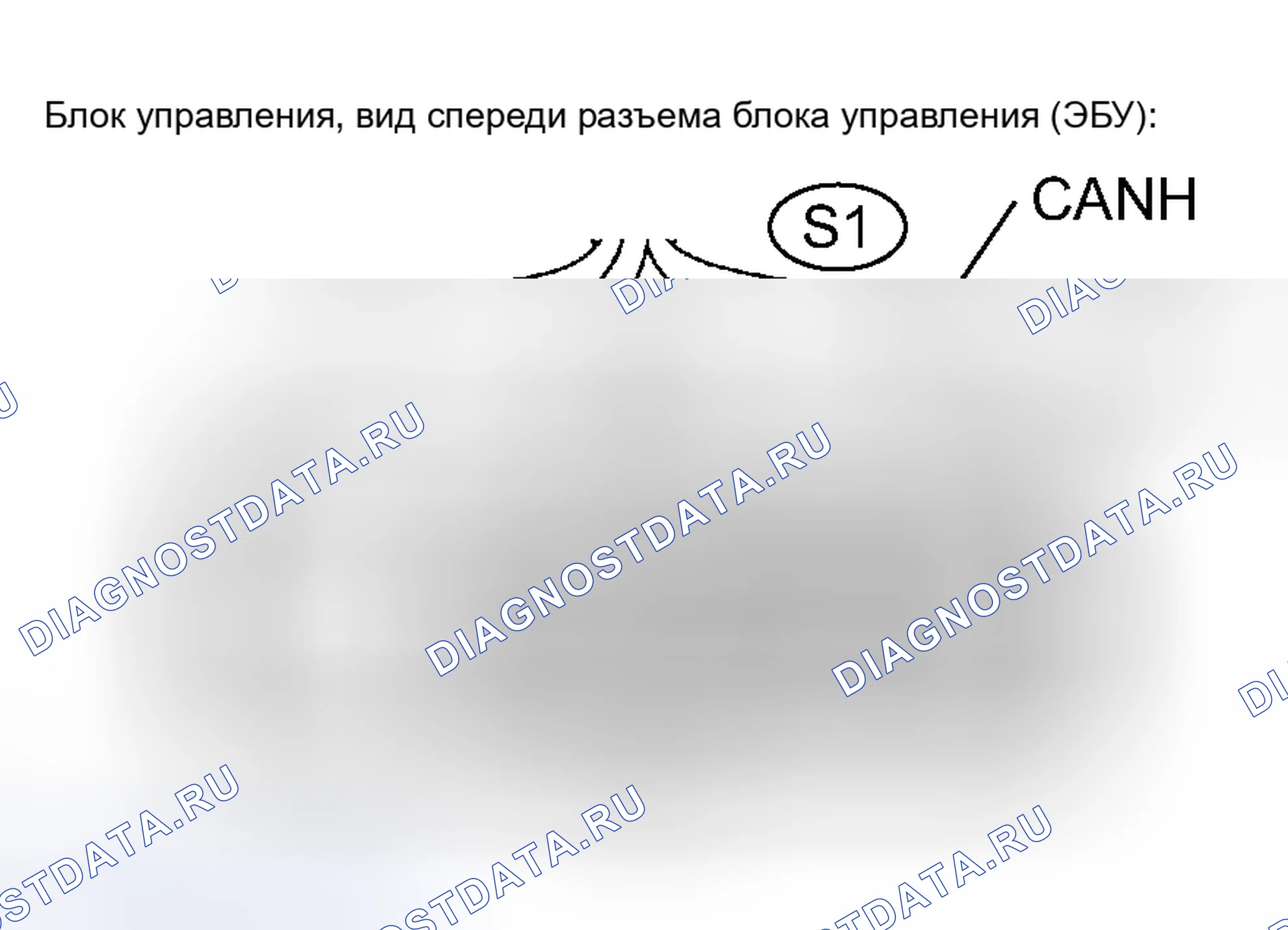 Рис. 8: ПРОЦЕДУРА КОНТРОЛЯ. Toyota Tacoma II
